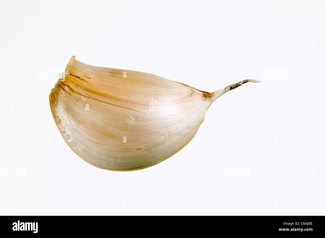 Knoblauchzehe Stockfoto