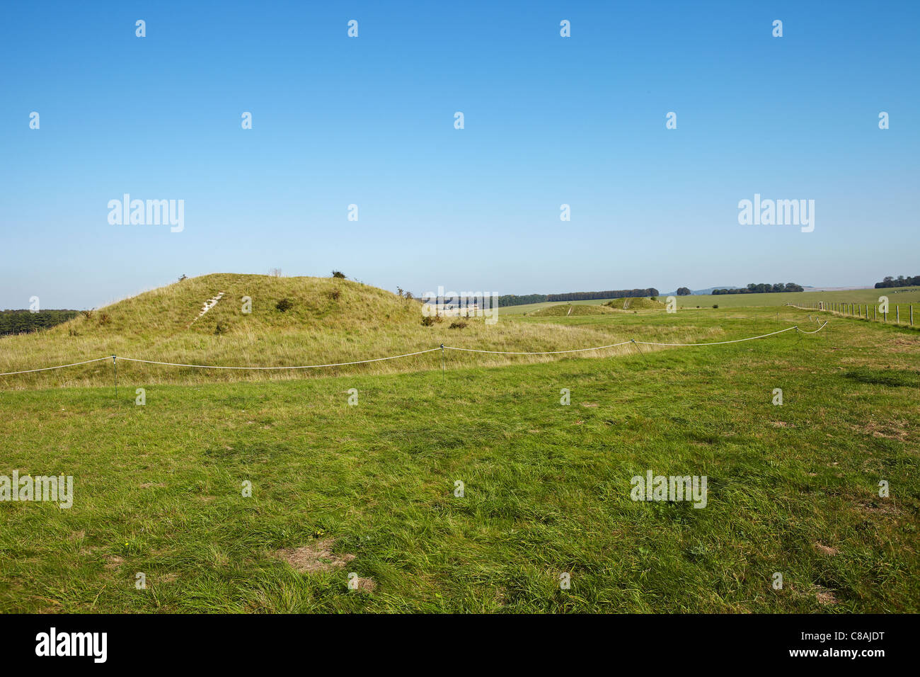 Die Cursus Karren, Stonehenge, Amesbury, Wiltshire, England, UK Stockfoto