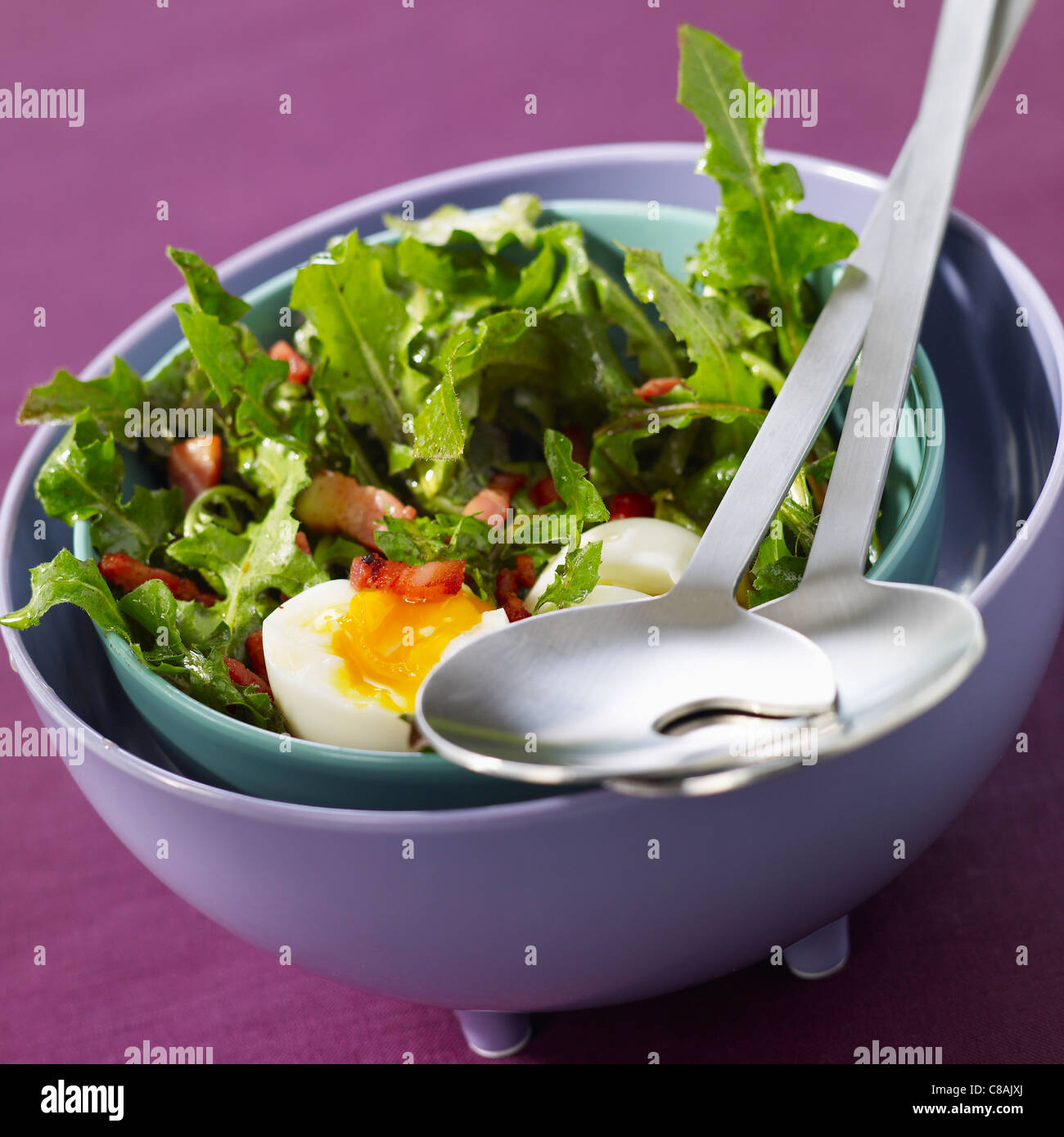 Löwenzahn und gewürfelten Speck Salat mit ein weich gekochtes Ei Stockfoto