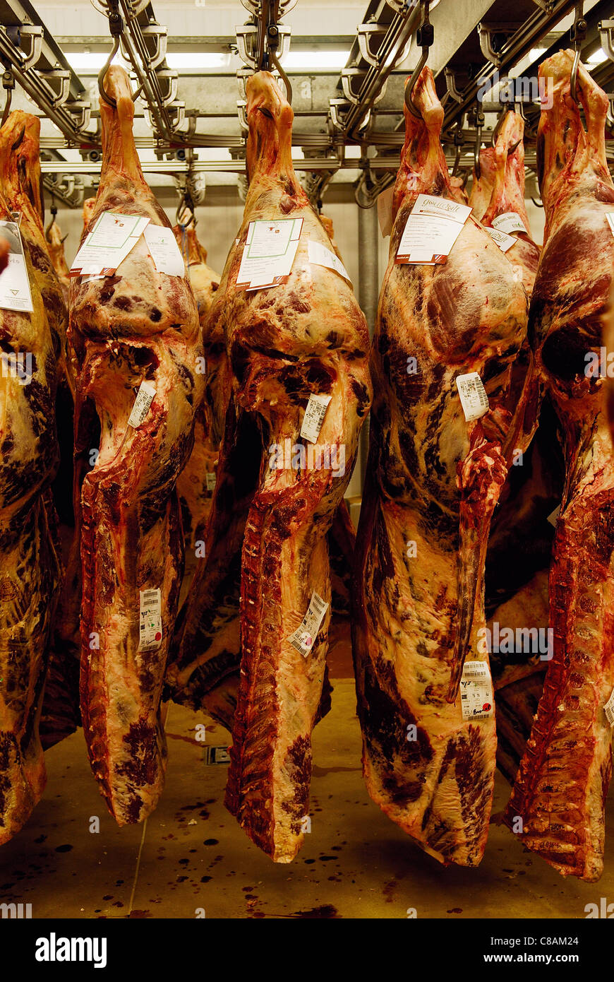 Rindfleisch Schlachtkörper in Rungis Stockfoto