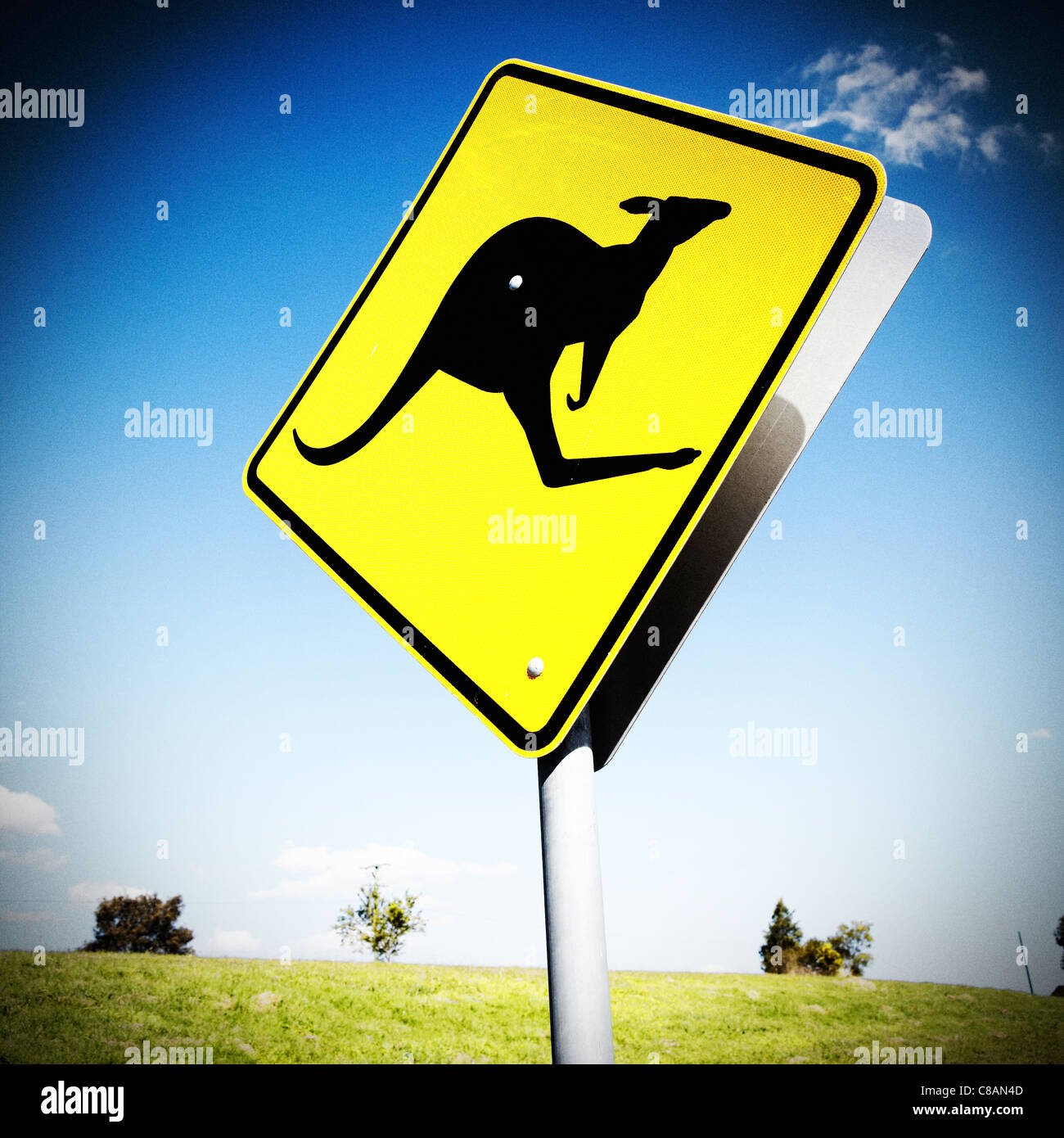 Känguru Kreuzung Zeichen, Australien Stockfoto