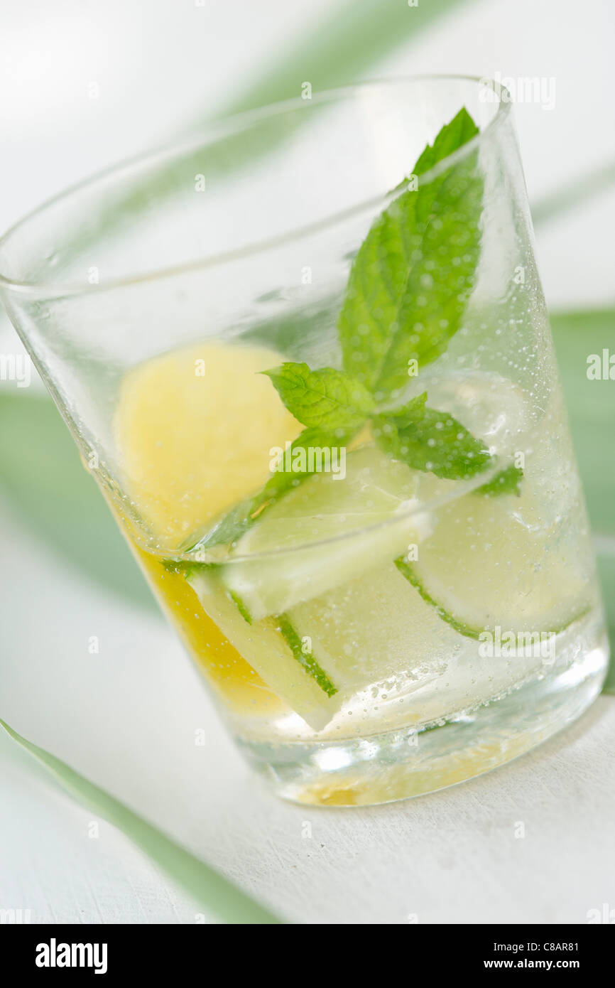Glas Wasser mit Zitrone, Limette und Minze Stockfoto
