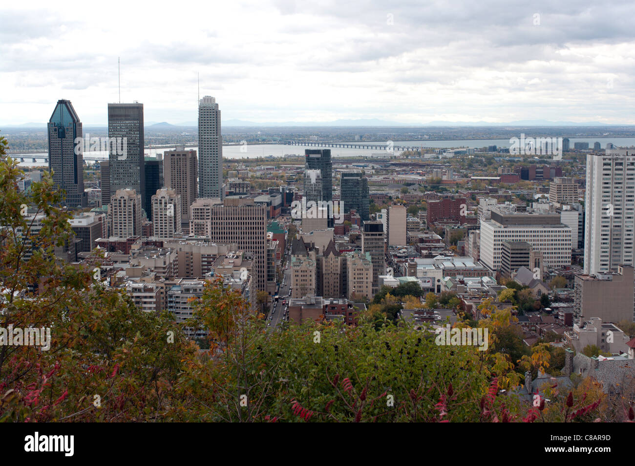 Blick auf die Stadt Montreal im Herbst von Mont-Royal, Quebec Kanada Stockfoto