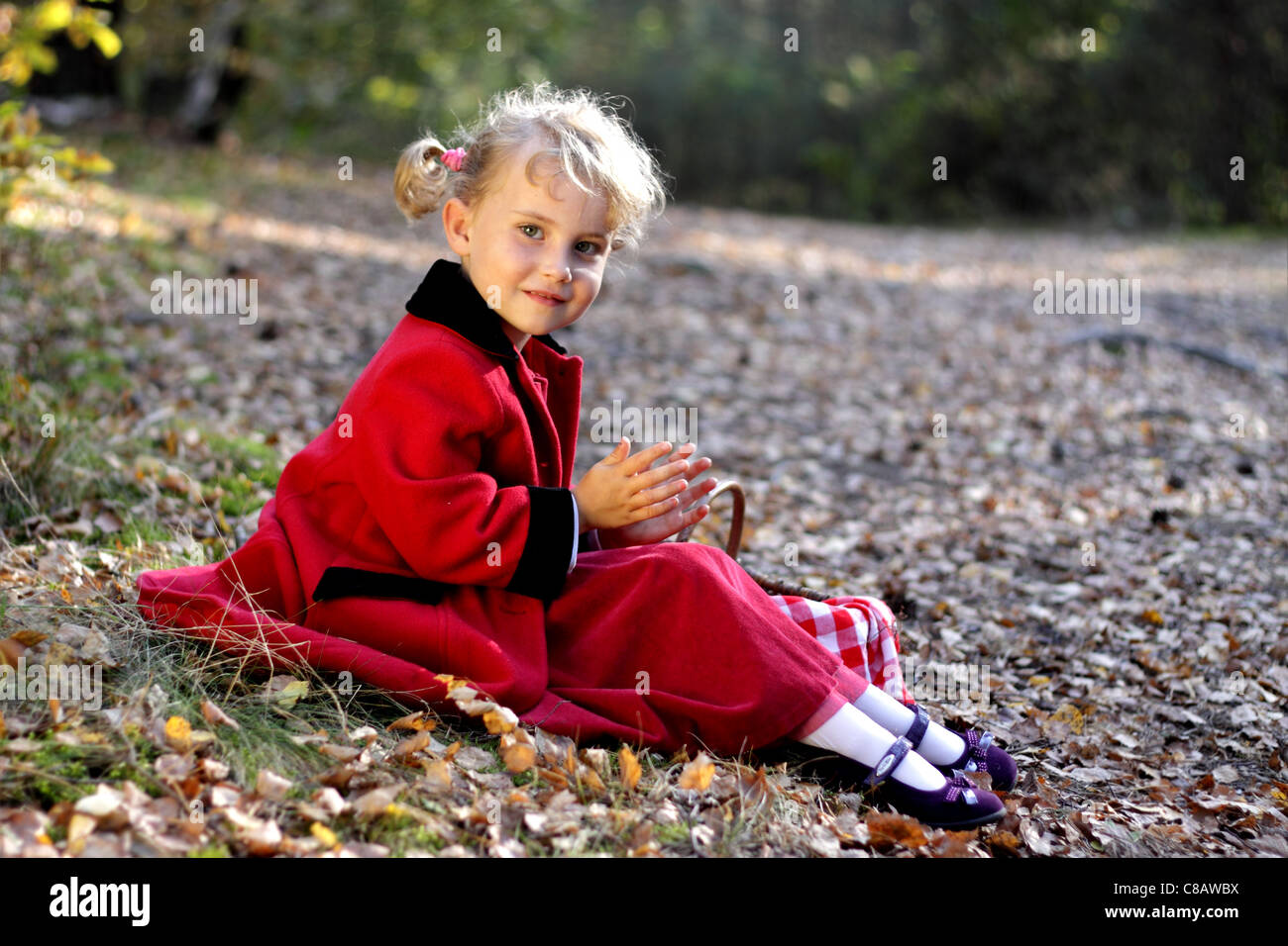 Hübsches kleines Mädchen in den Wald mit einem Korb für Pilze Stockfoto