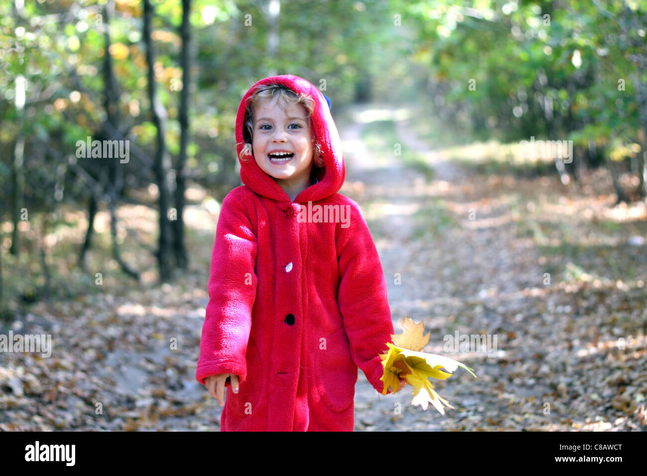 Das kleine Mädchen in einer roten Kappe in den herbstlichen Wald Stockfoto