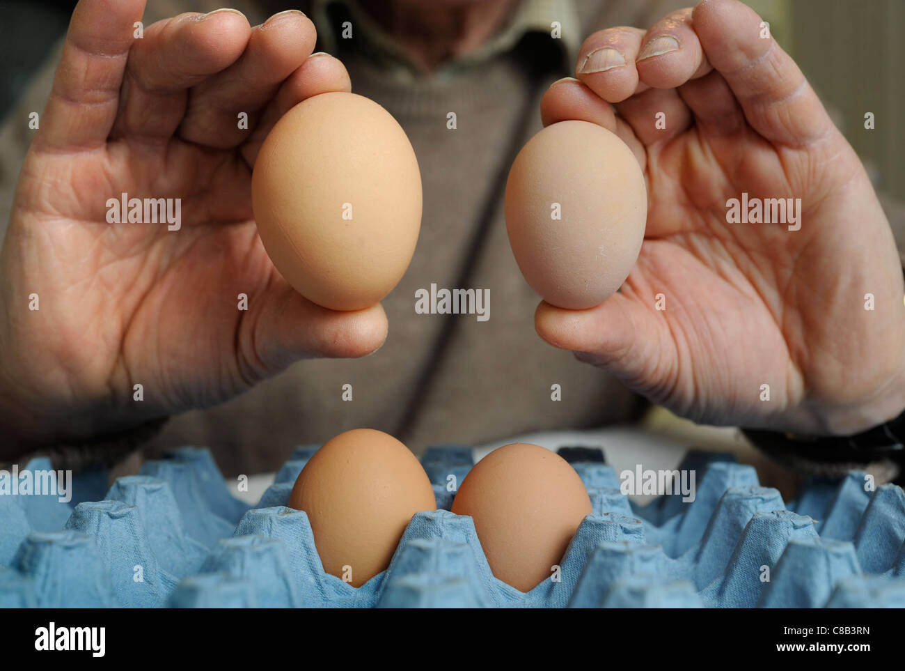 Re-Vorsitzender von The British Free Range Ei Producers Association, Tom Vesey, der glaubt, dass große Eier grausam, h ist Stockfoto