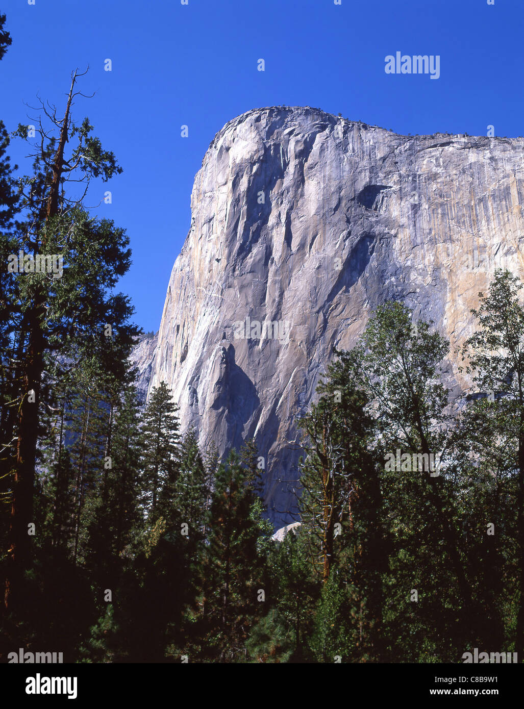 El Capitan Vista, Yosemite-Nationalpark, Kalifornien, Vereinigte Staaten von Amerika Stockfoto
