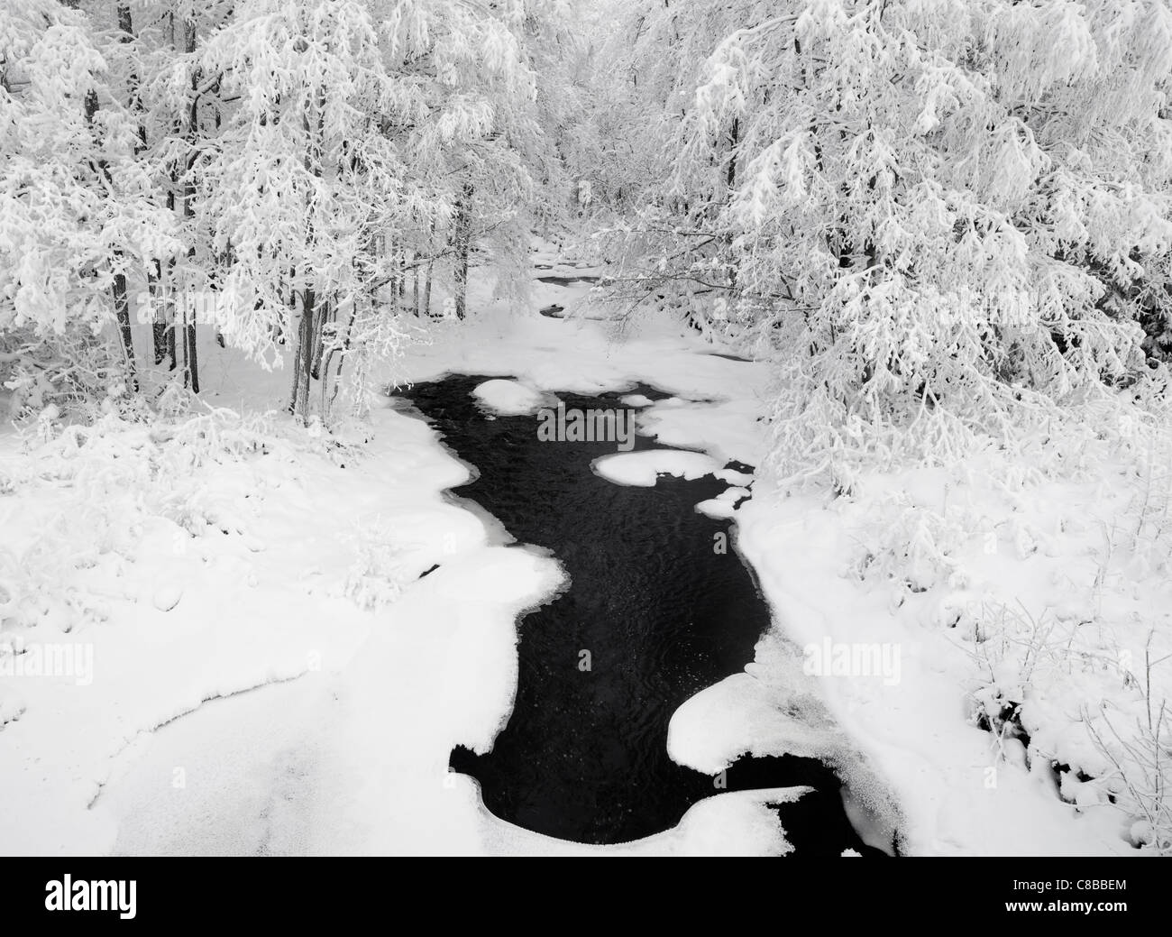 Kleine Bach fließt im Winter, Finnland Stockfoto