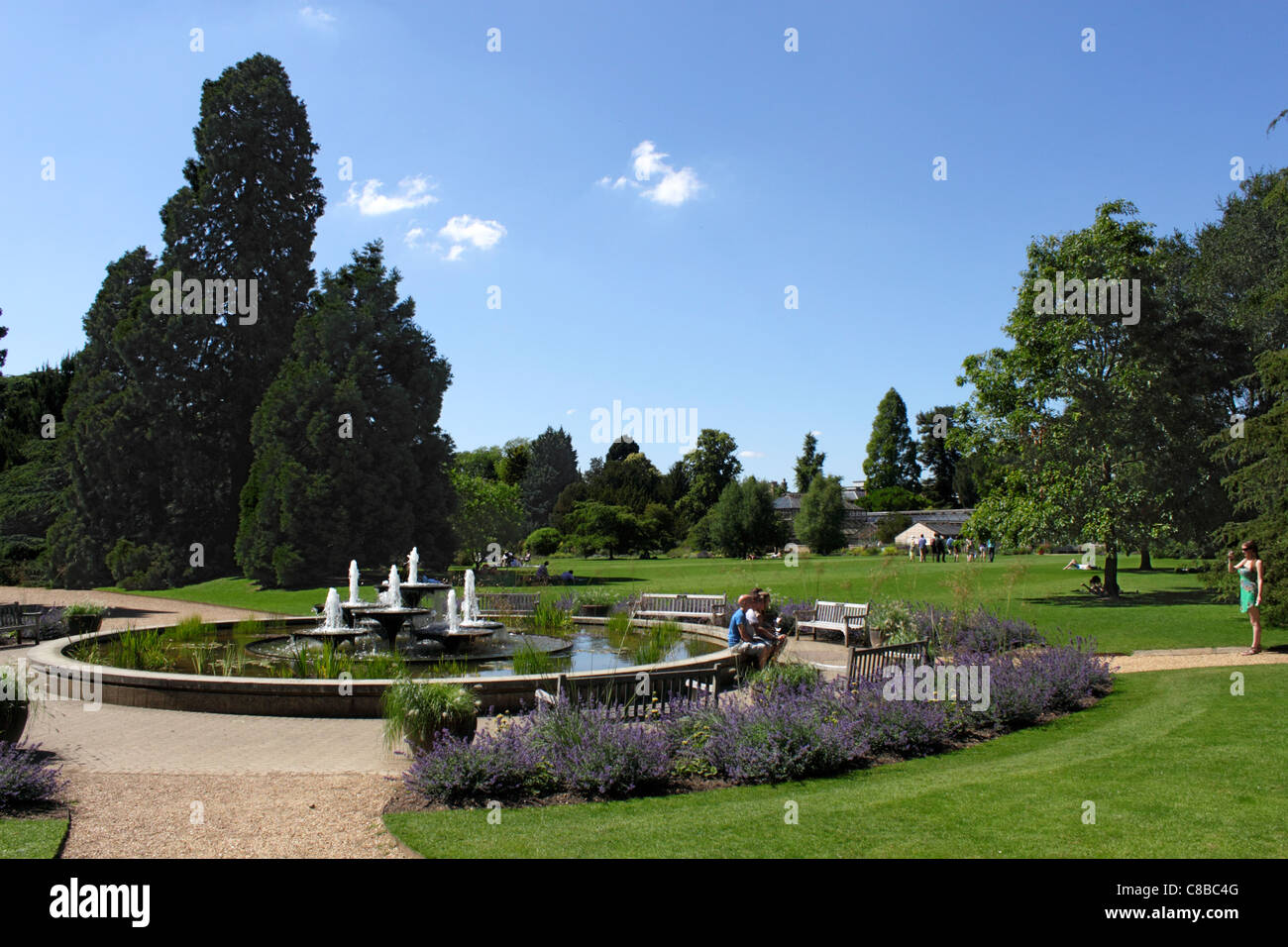 Brunnen in Hauptrasen der Cambridge University Botanic Garden Stockfoto