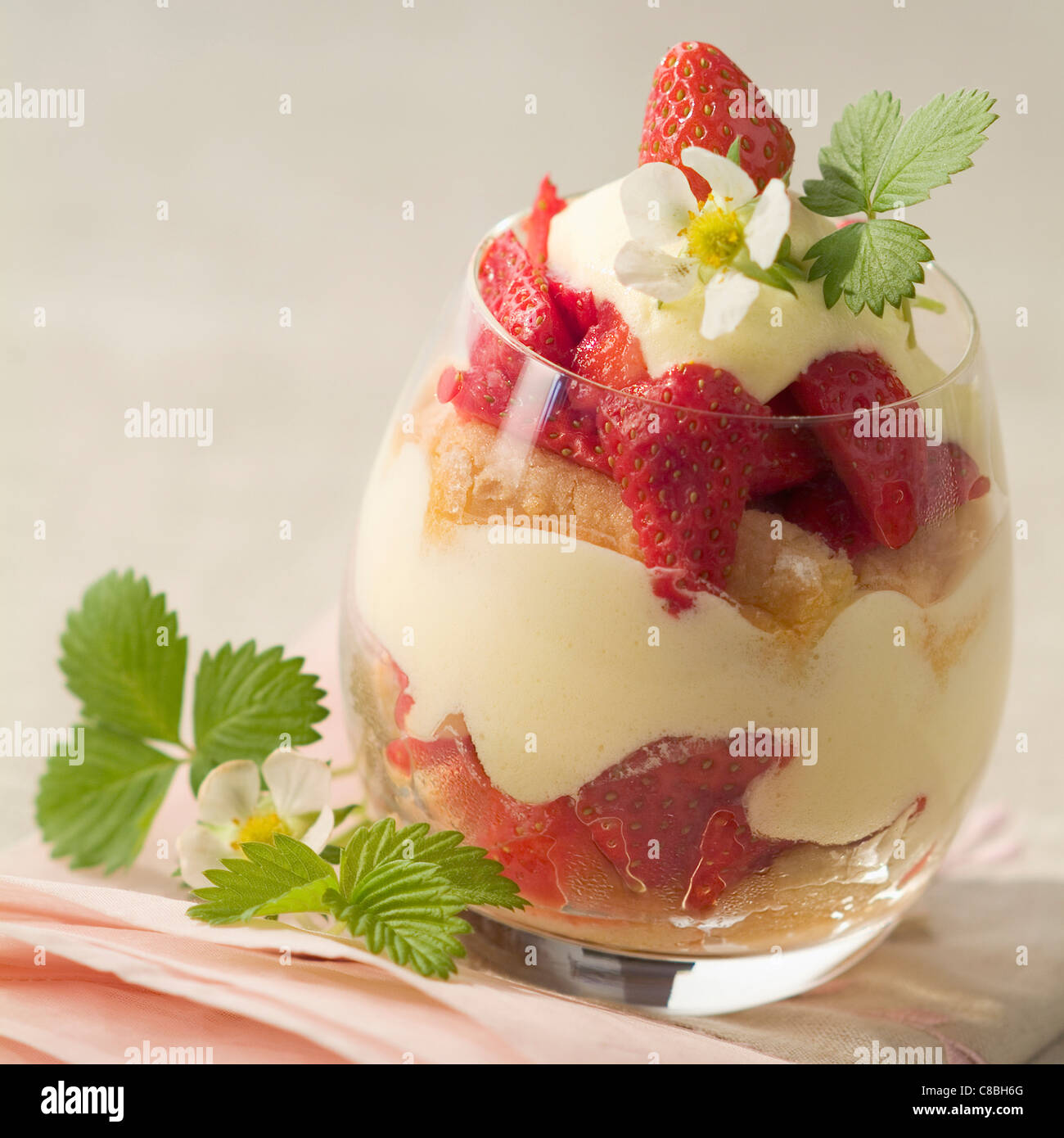 Plougastel Erdbeer-tiramisu Stockfoto