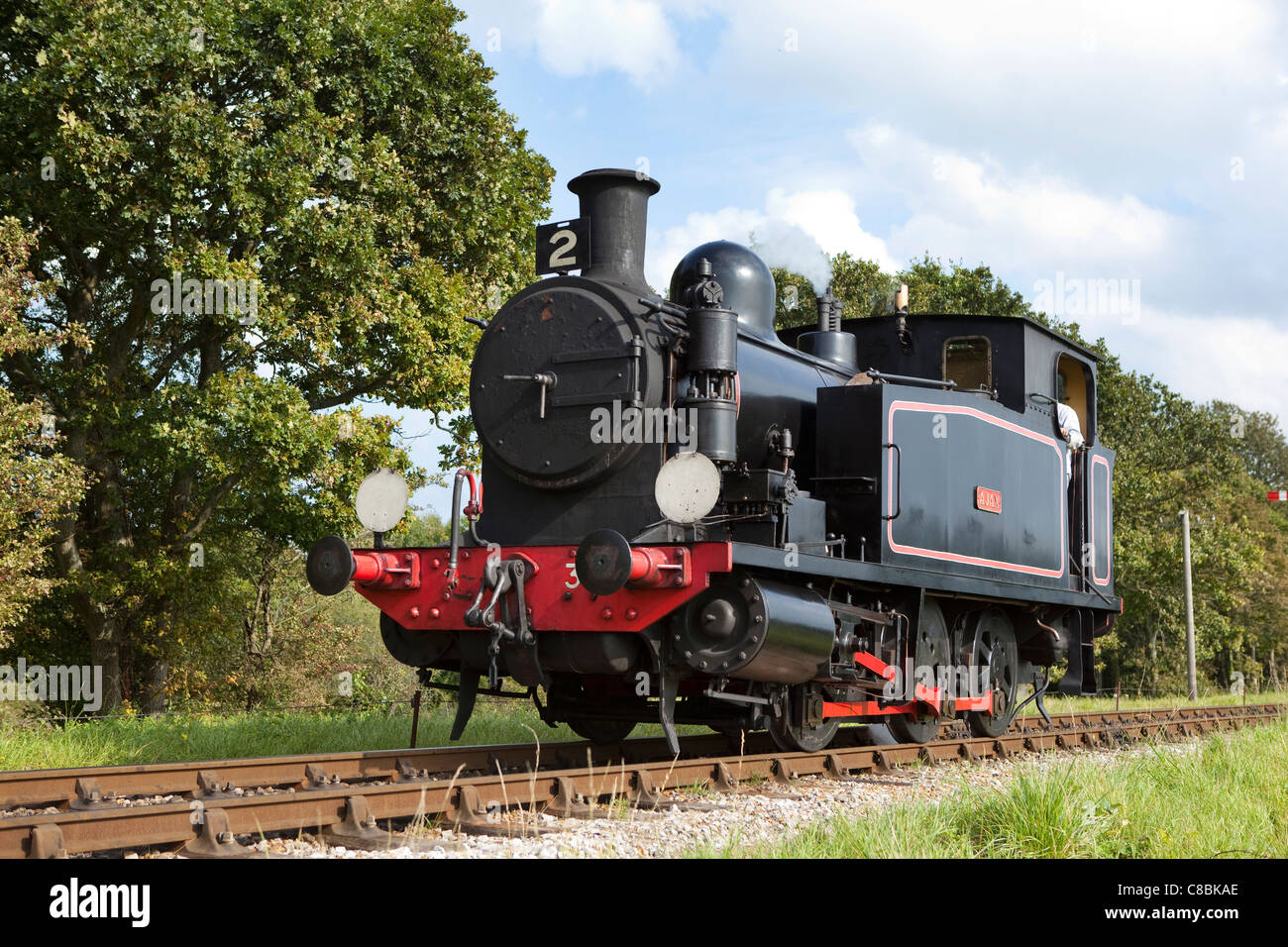 Die Isle Of Wight Steam railway Stockfoto