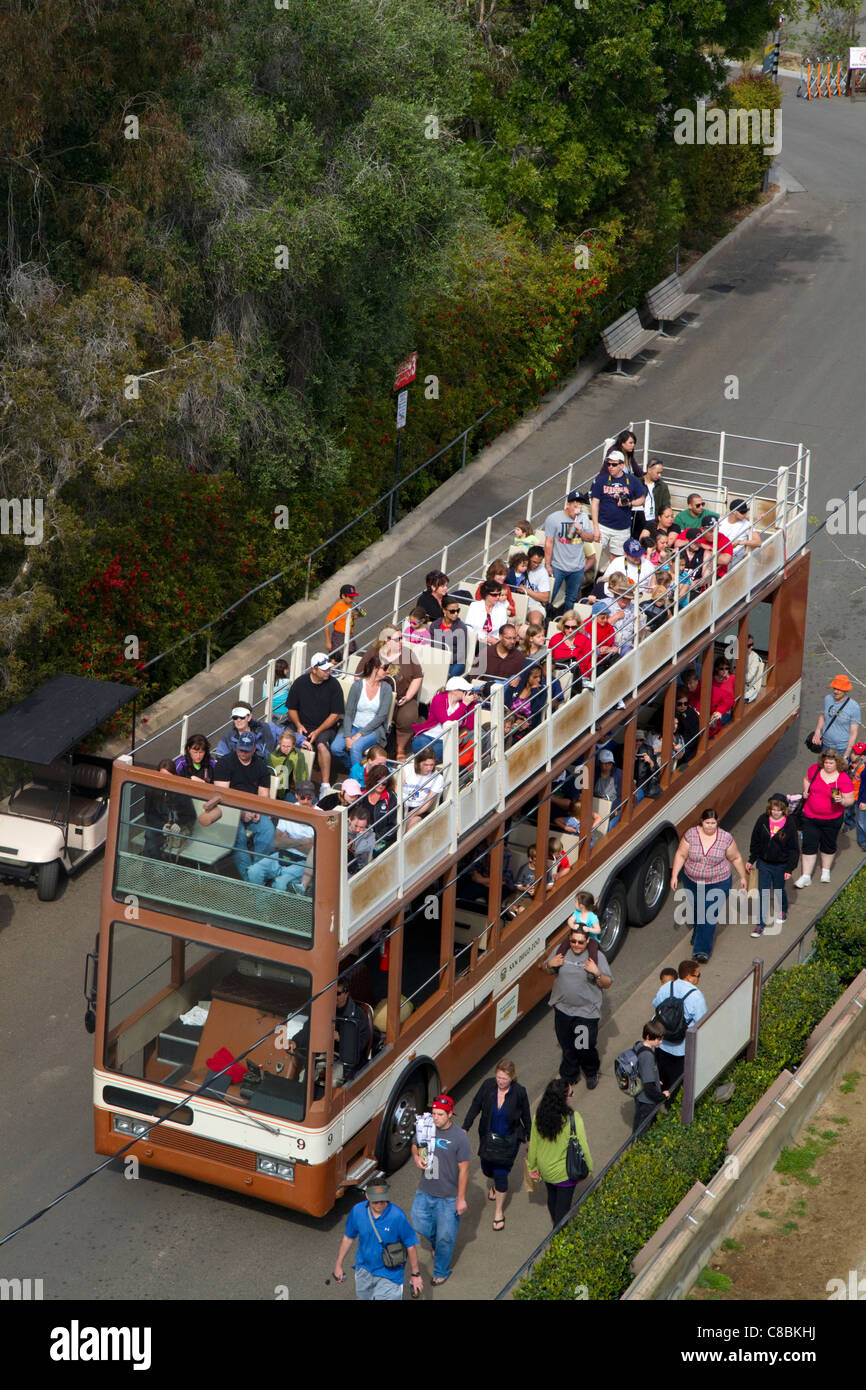 Doppeldecker-Bus Führung durch den Zoo von San Diego befindet sich im Balboa Park, Kalifornien, USA. Stockfoto