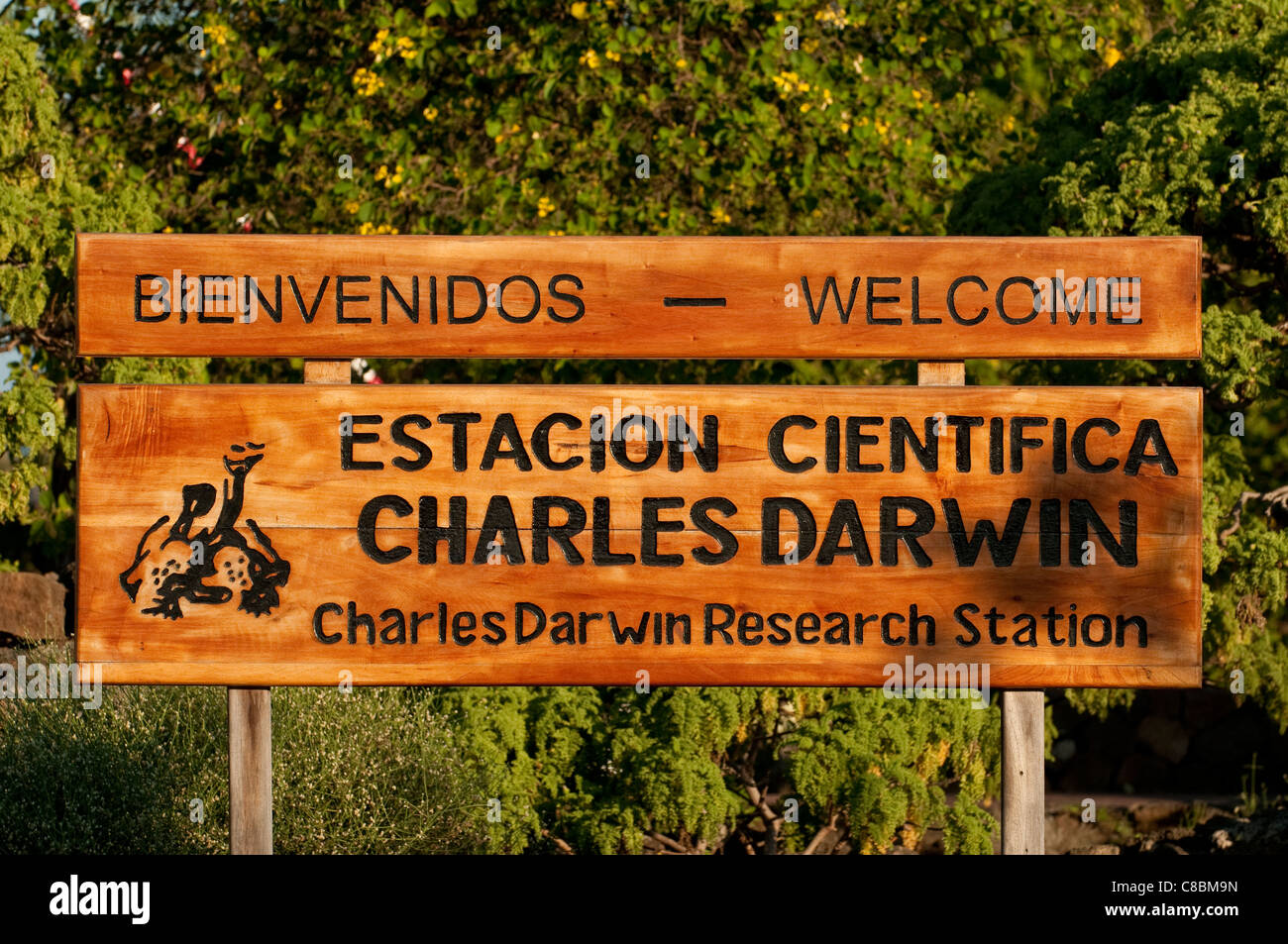 Charles Darwin Research Station, Santa Cruz Island, Ecuador Stockfoto