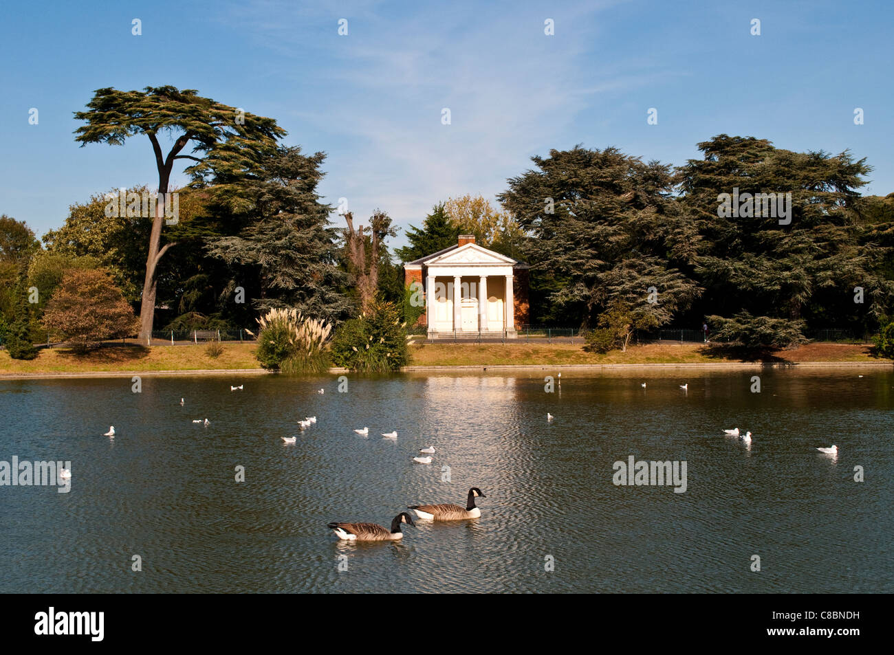 18. Jahrhundert Tempel mit Blick auf das Bootfahren Teich, Gunnersbury Park, Brentford, London, UK Stockfoto