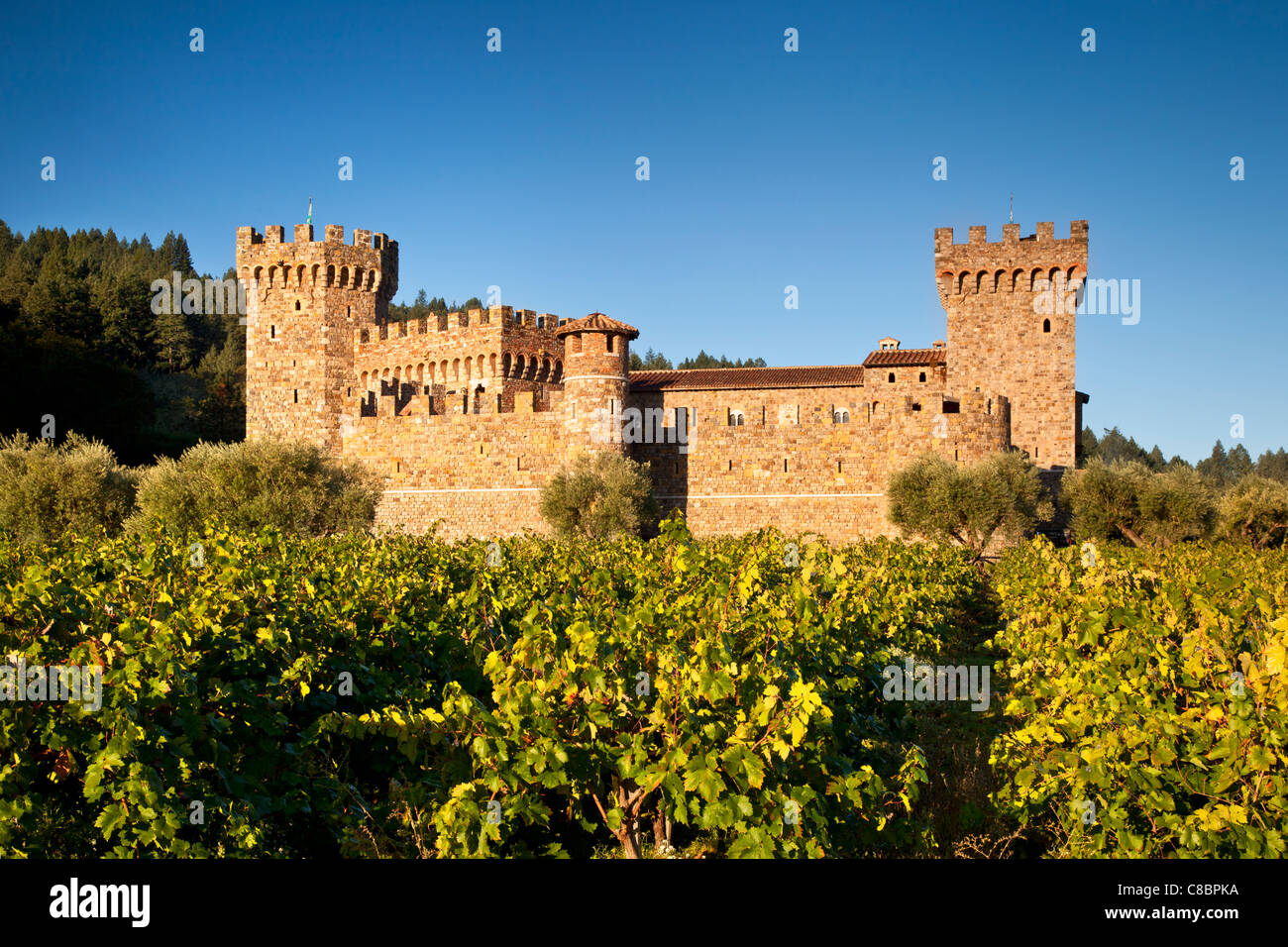 Castello di Amorosa Weingut in der Nähe von Calistoga, Napa Valley, Kalifornien, USA Stockfoto