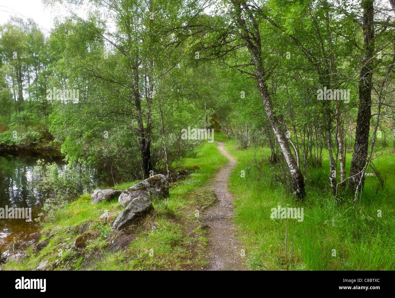 Weg an den Ufern des Loch Beinn ein ' Mheadhain, Glen Affric, Highland, Schottland, UK Stockfoto