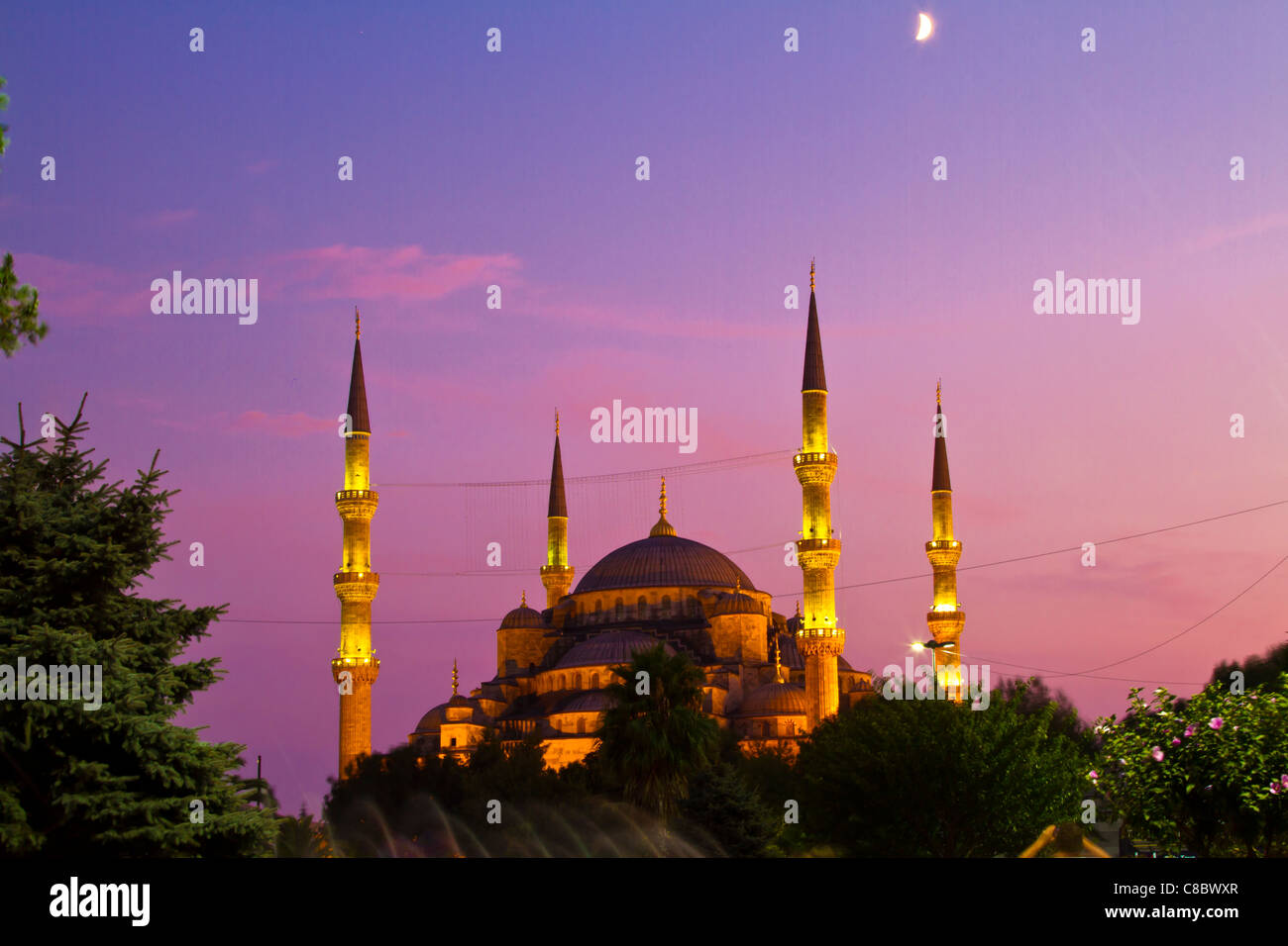 Blaue Moschee, Istanbul, Türkei Stockfoto