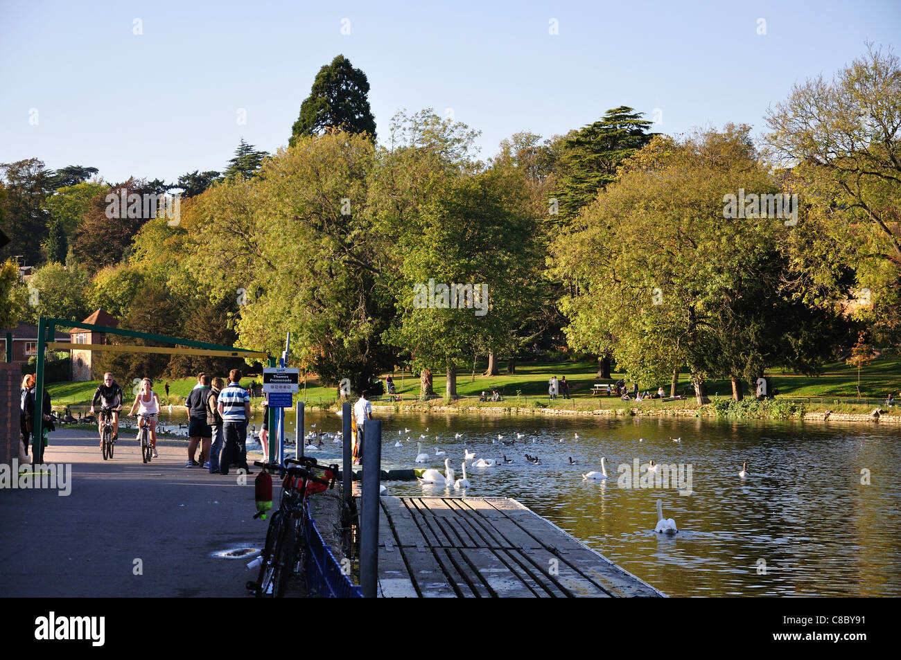 Themse und Caversham Court Gardens, Caversham, Reading, Berkshire, England, Vereinigtes Königreich Stockfoto