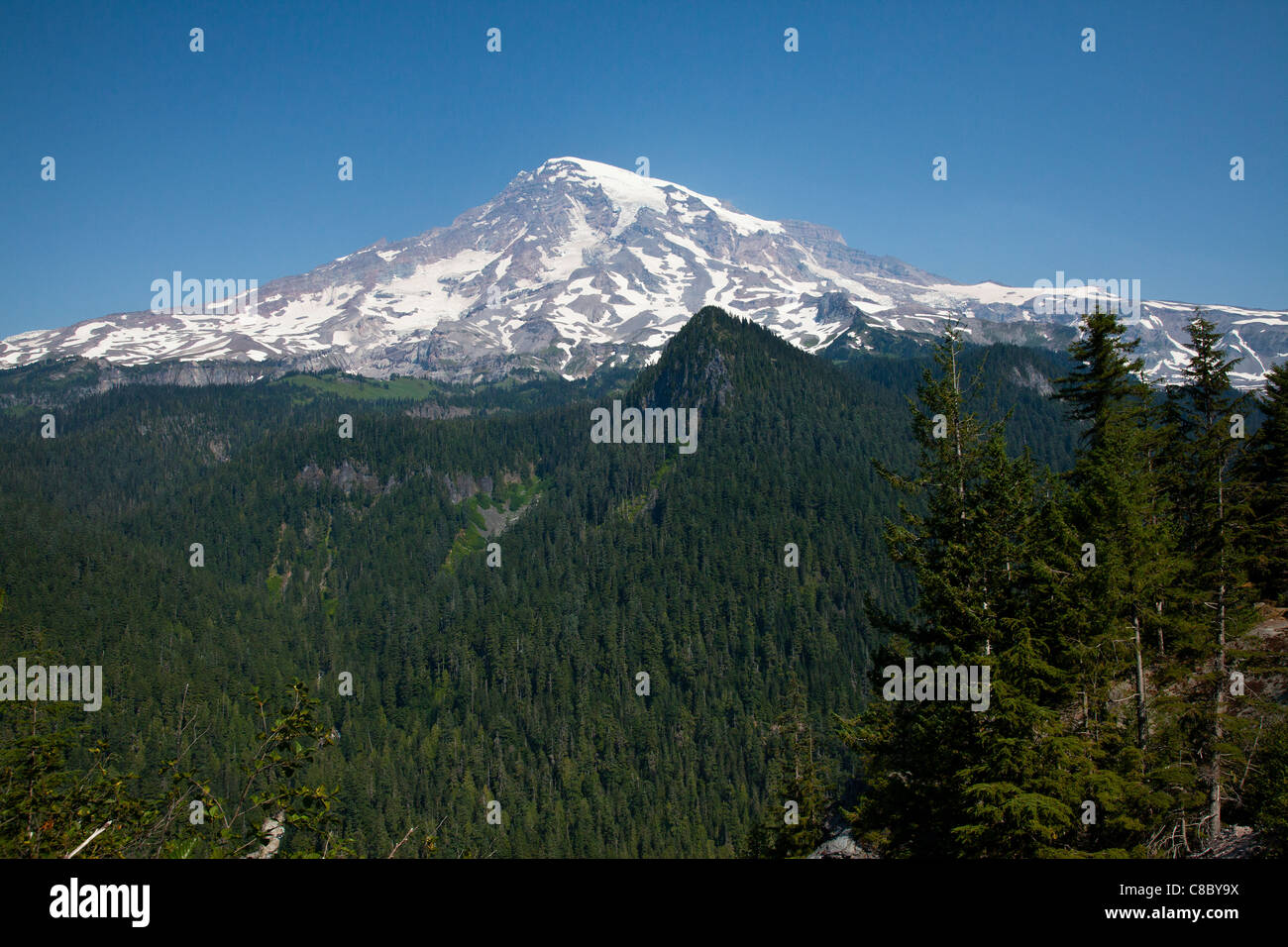 Die majestätischen Mt. Rainier von Paradies Schleife aus gesehen Stockfoto