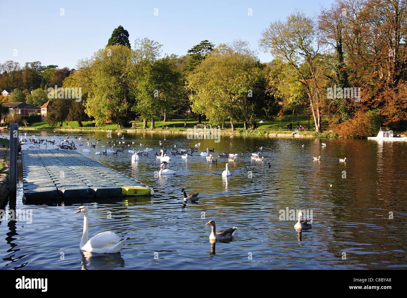 Themse und Caversham Court Gardens, Caversham, Reading, Berkshire, England, Vereinigtes Königreich Stockfoto