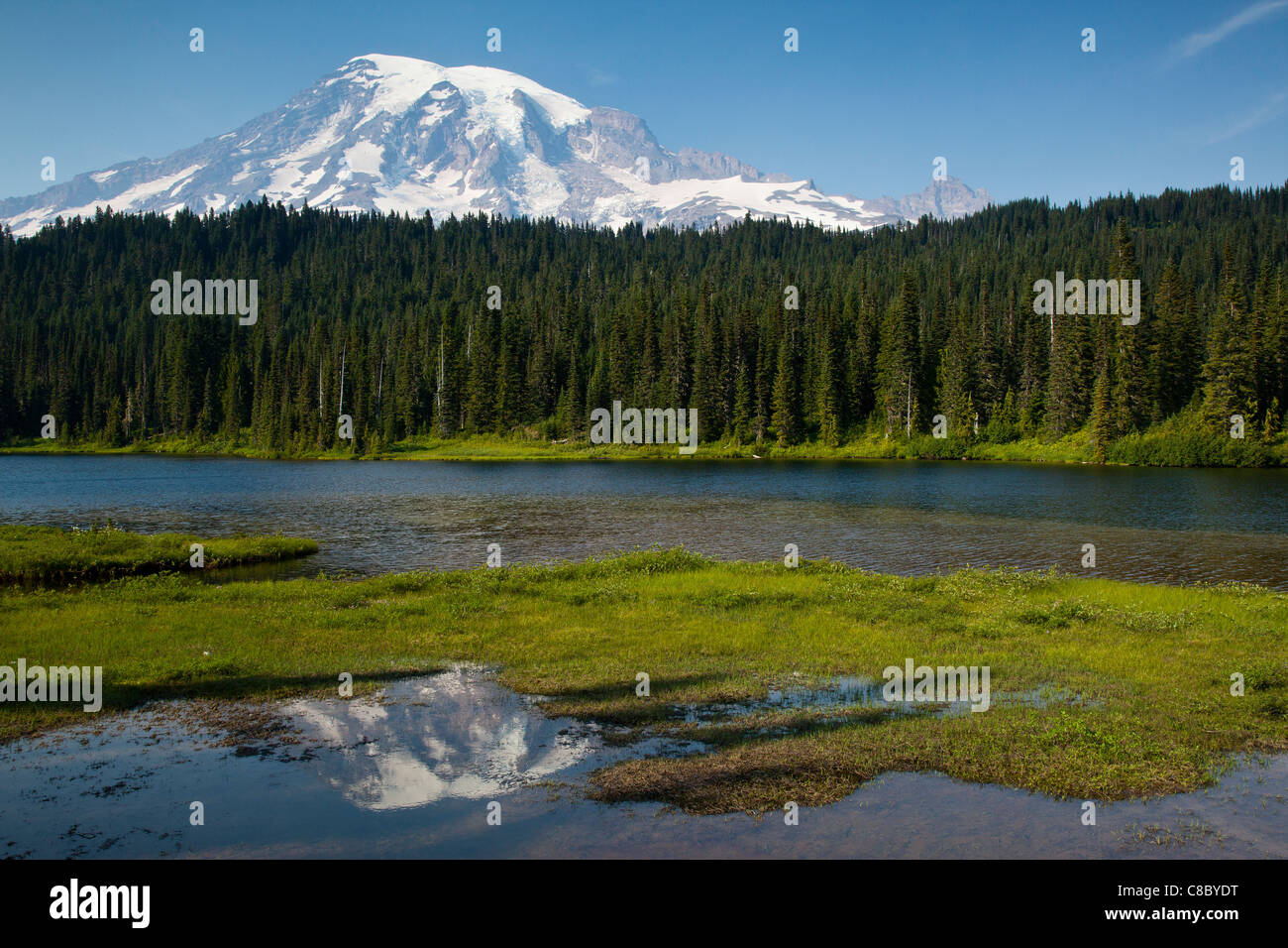 Reflexion des Mt. Rainier Stockfoto