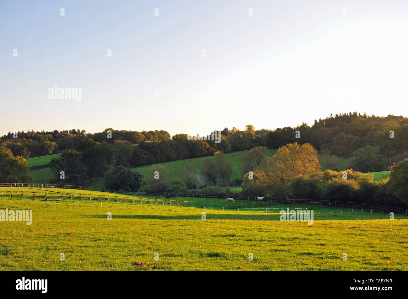Landschaft in der Nähe von Beenham, Berkshire, England, Vereinigtes Königreich Stockfoto