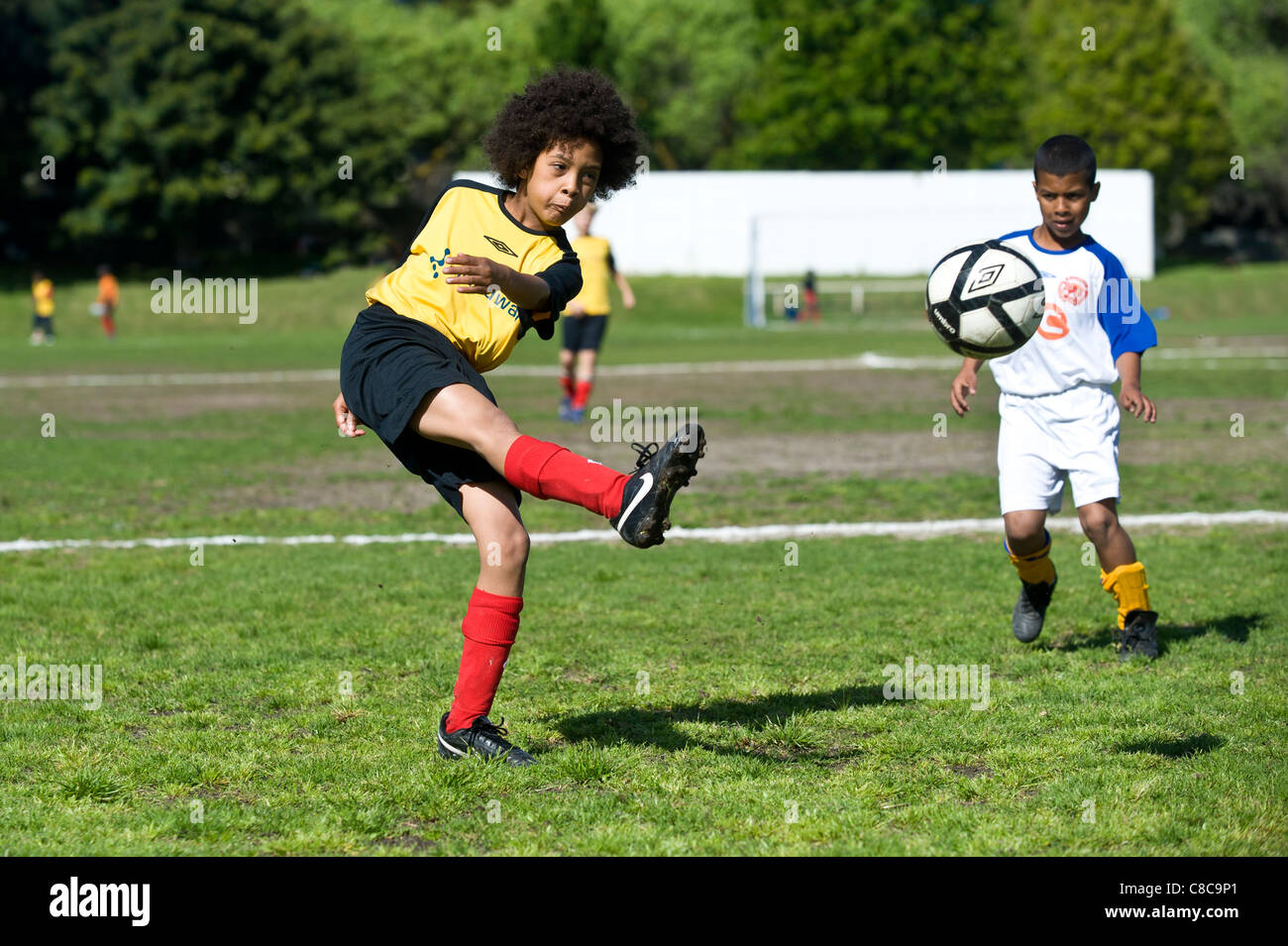 Football-Spieler der U11-Team den Ball am Rygersdal Football Club Cape Town South Africa Stockfoto