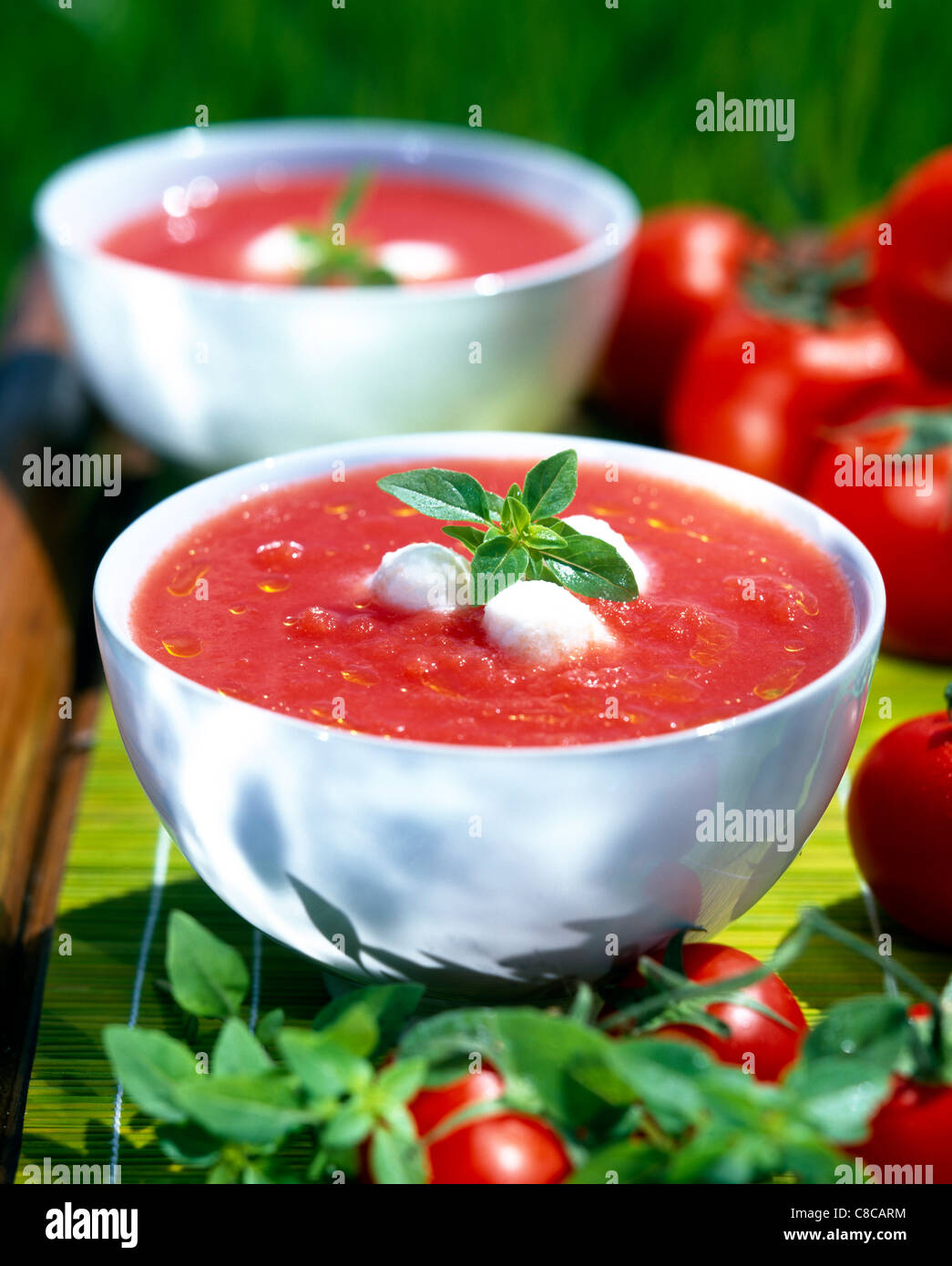 Kalte Tomaten-Basilikum-Suppe Stockfoto