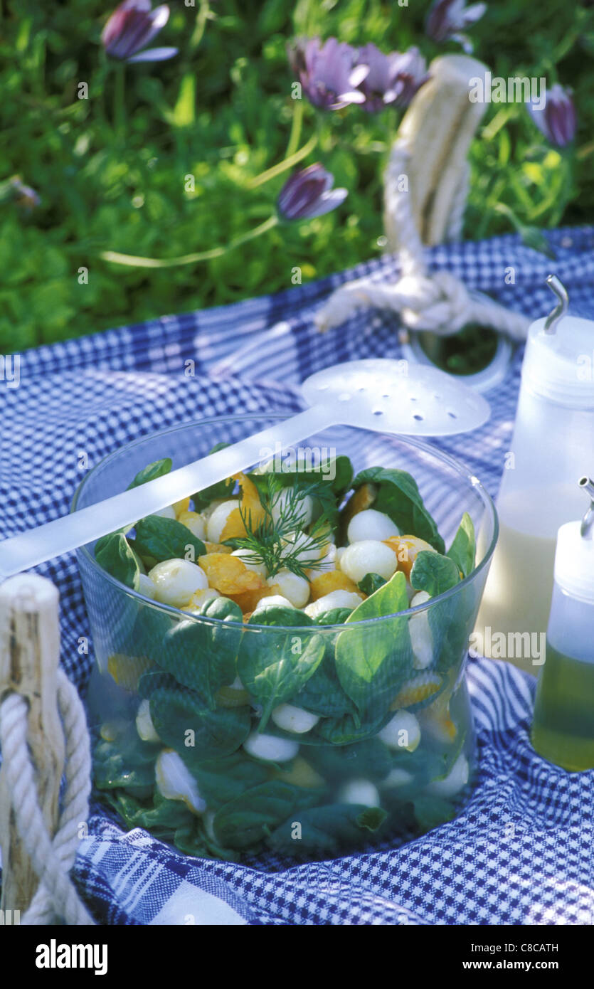 Salat mit Melone und Mozzarella Picknick Stockfoto