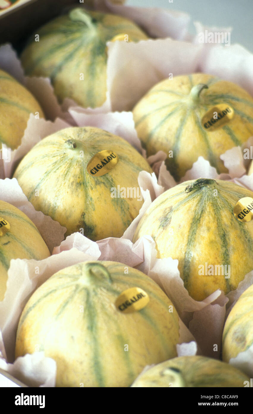 Melonen Stockfoto
