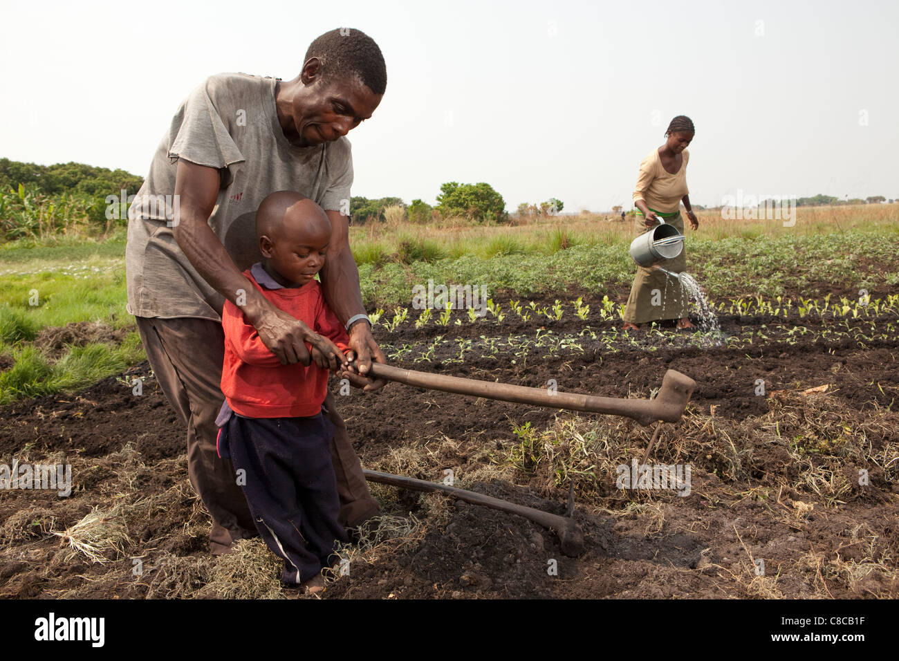 Ein Bauer lehrt seinen jungen Sohn, in Mongu, Sambia, Südafrika zu hacken. Stockfoto