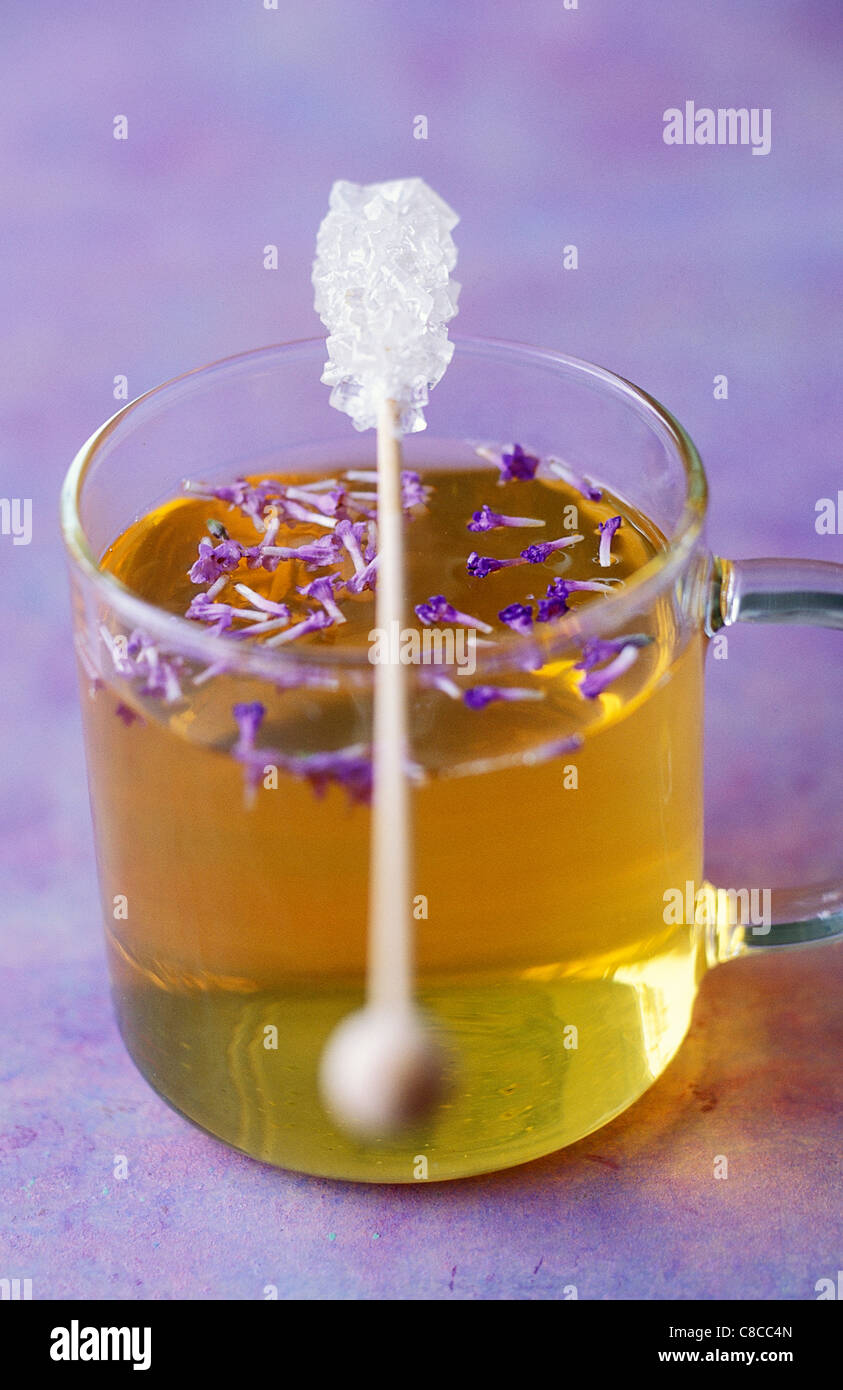 Limetten-Kräuter-Tee mit Lavendel Stockfoto