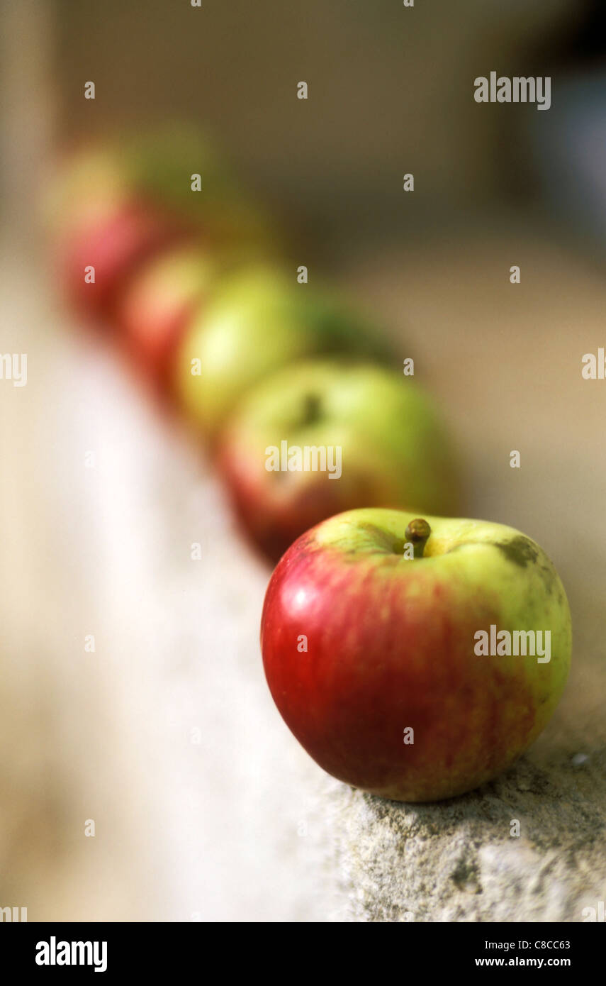 Reihe von Äpfeln Stockfoto