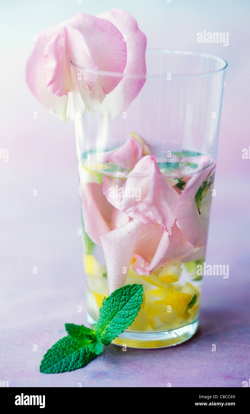 Rose cocktail Stockfoto