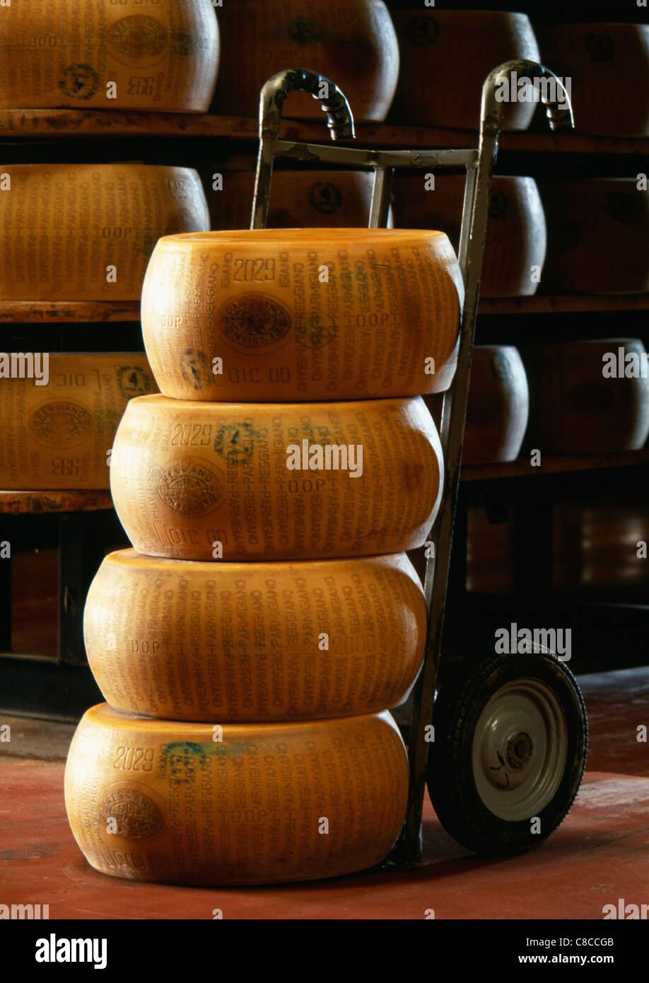 Haufen von ganzen Parmesan Käse Stockfoto