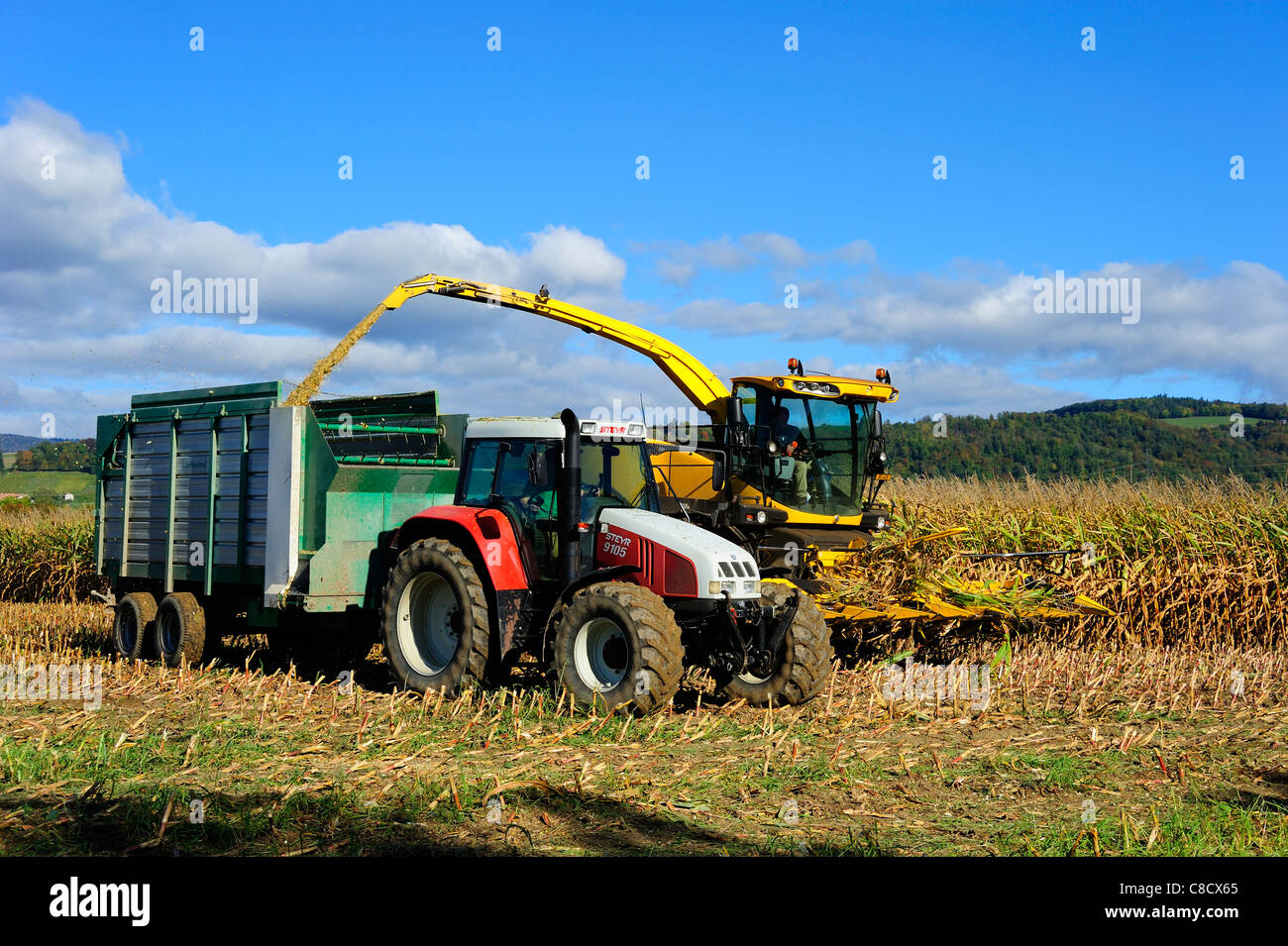 Ein Mähdrescher schneidet ein Feld von Mais für die Silage in der Schweiz Stockfoto