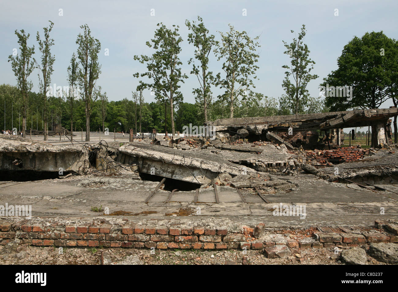 Ruinen von Krematorium Auschwitz II Birkenau deutschen nationalsozialistischen Konzentrations- und Vernichtungslager Camp in Oswiecim, Polen. Stockfoto