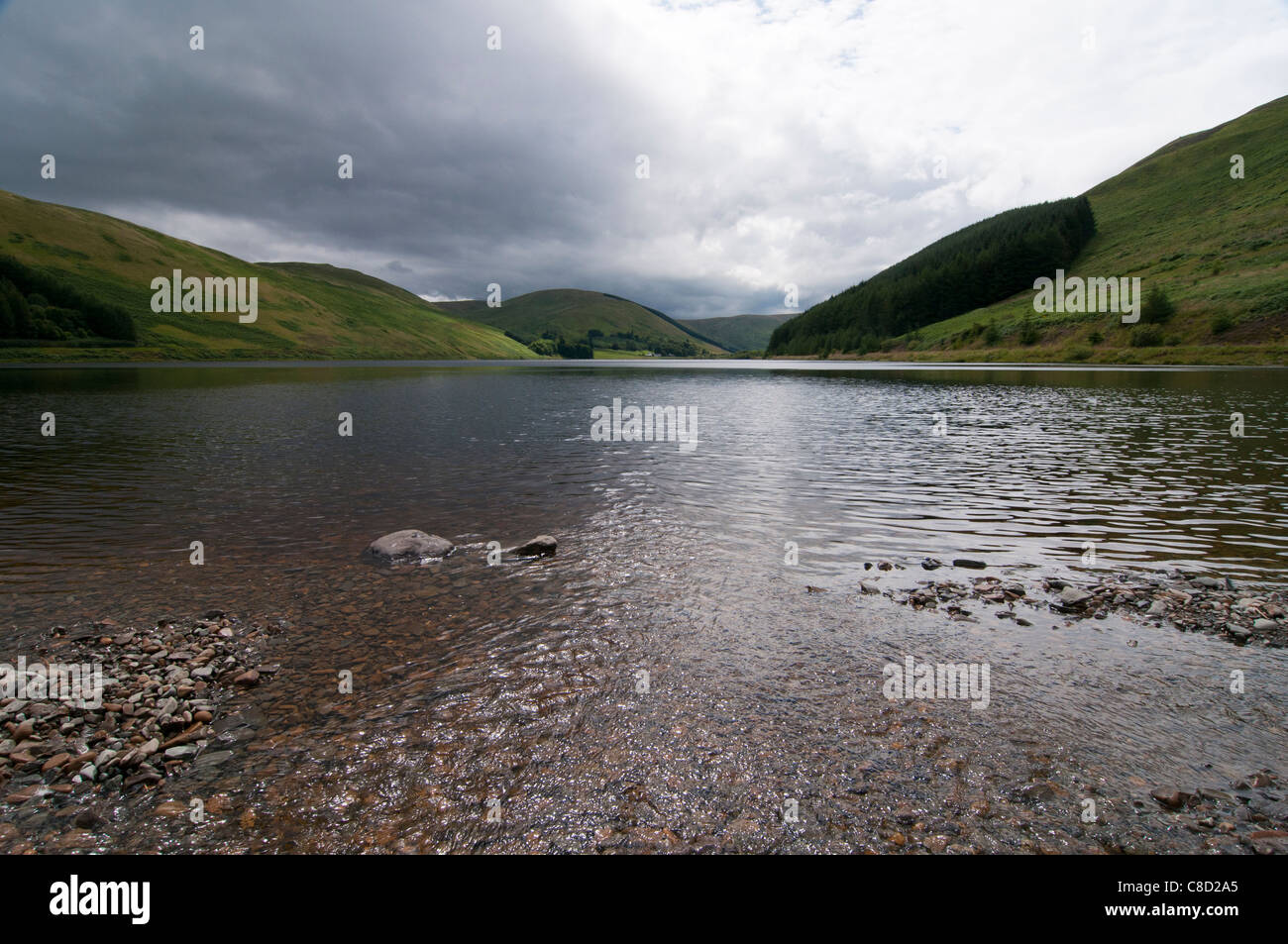 Loch ' o ' Lowes, St Marys Loch Schafgarbe Tal Stockfoto