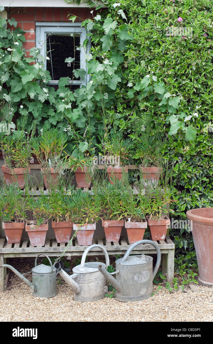 Englischen Cottage Garten Gießkannen Stockfoto