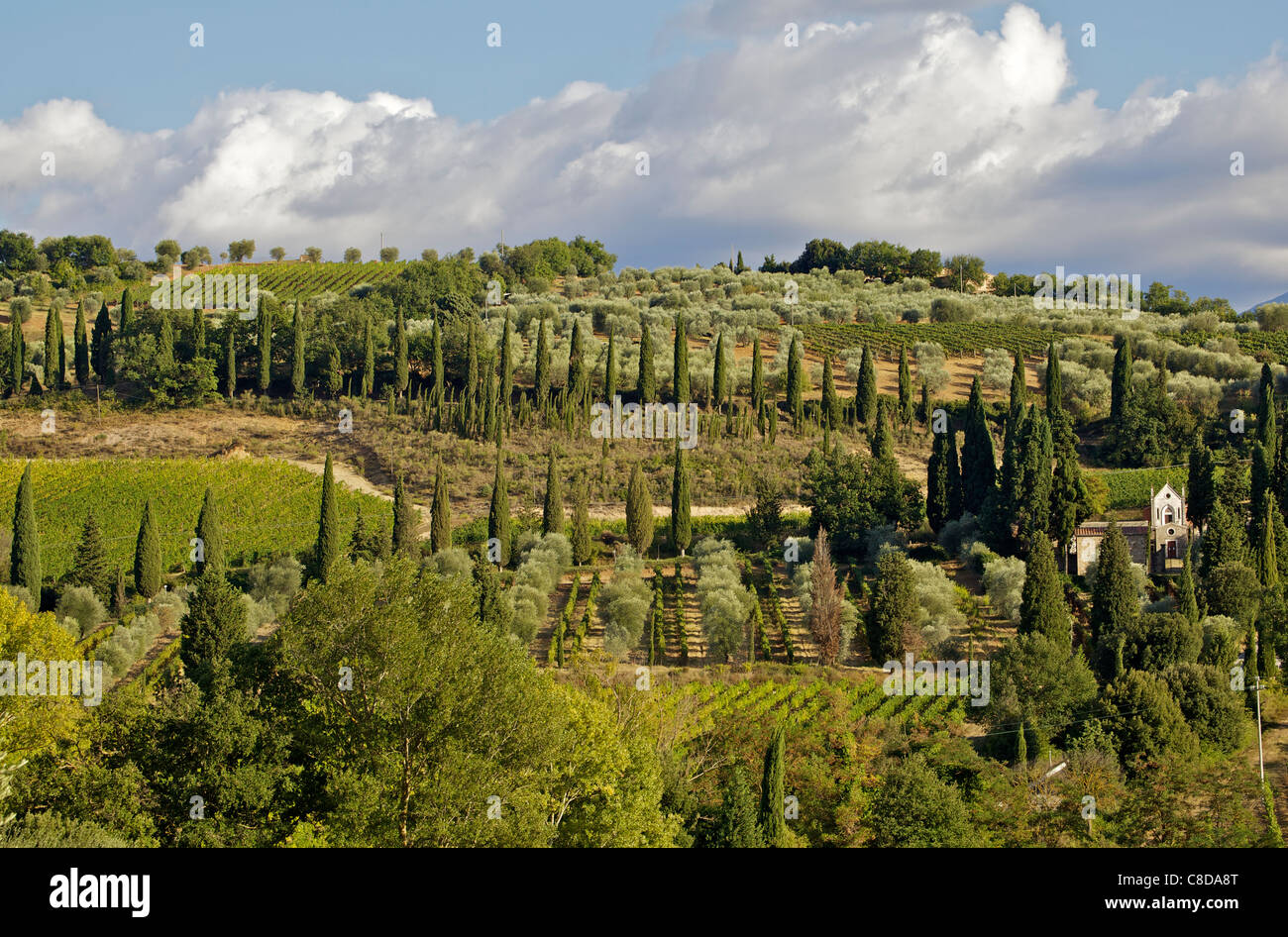 Eine kleine Kapelle in den Hügeln der Toskana Stockfoto