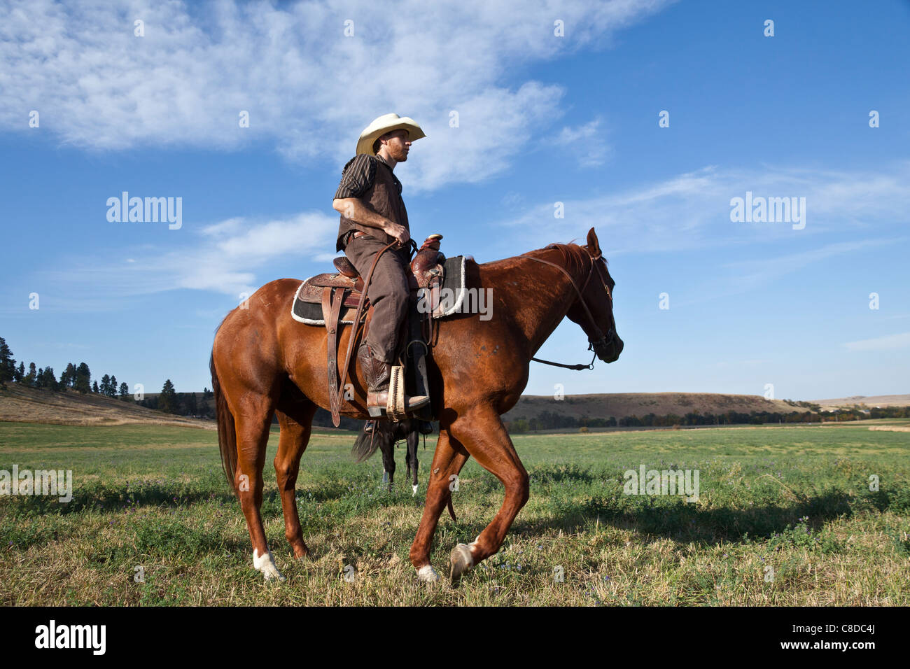 Cowboy auf seinem Pferd auf eine offene Ebene Stockfoto