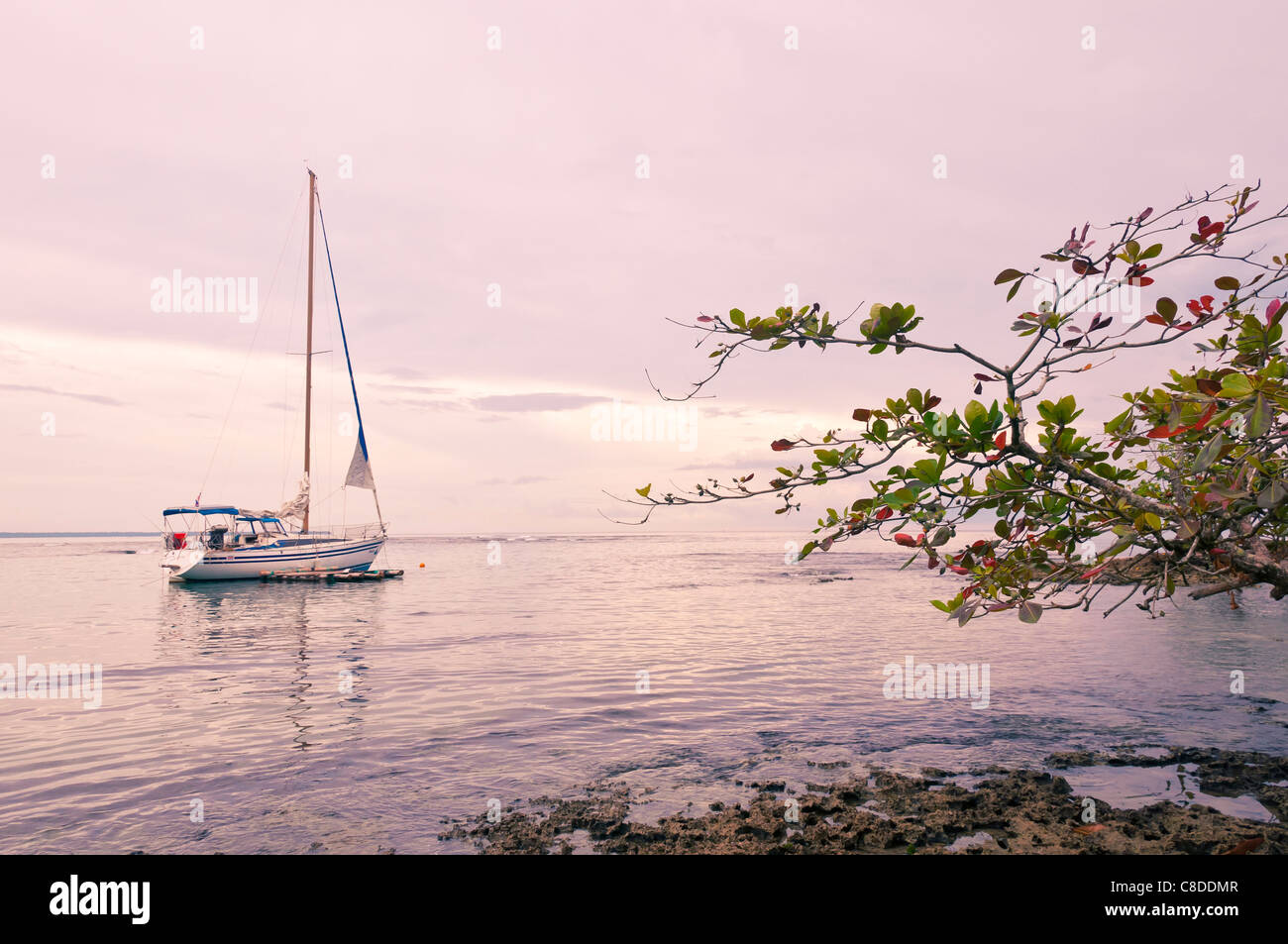 Segelboot-Puerto Viejo-costarica Stockfoto