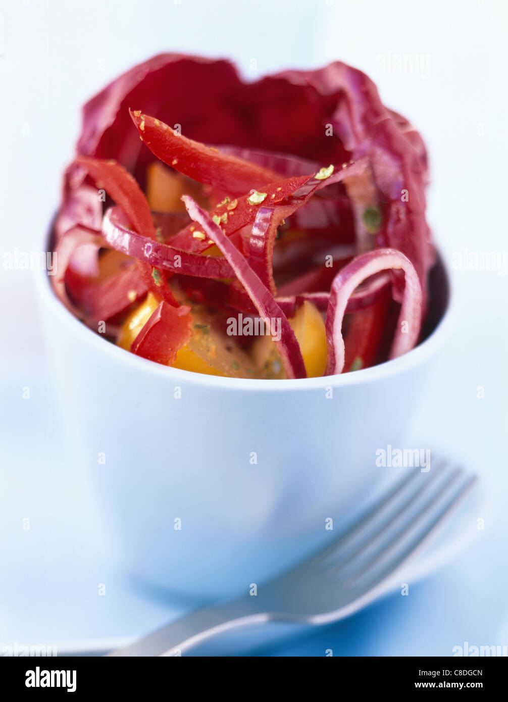 Rotkohl-Salat Stockfoto