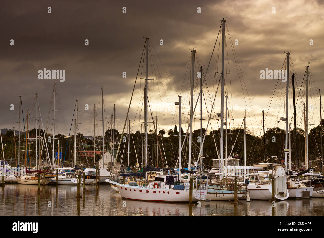 Boote im Hafen von Whangarei. Whangarei, Northland, Neuseeland. Stockfoto
