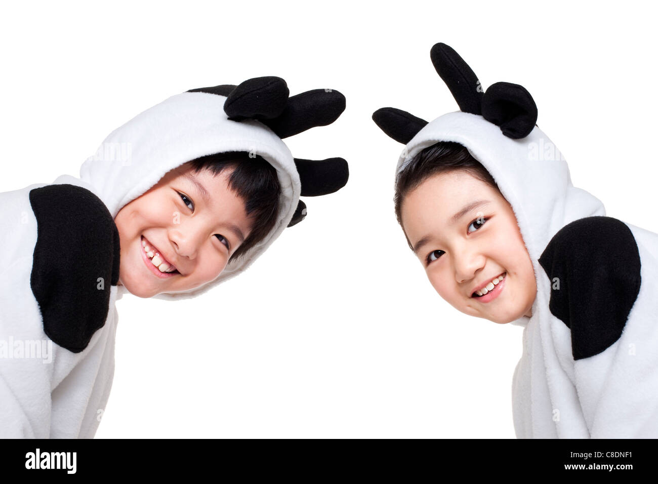 Jungen und Mädchen in Kuh Kostüme gekleidet Stockfoto