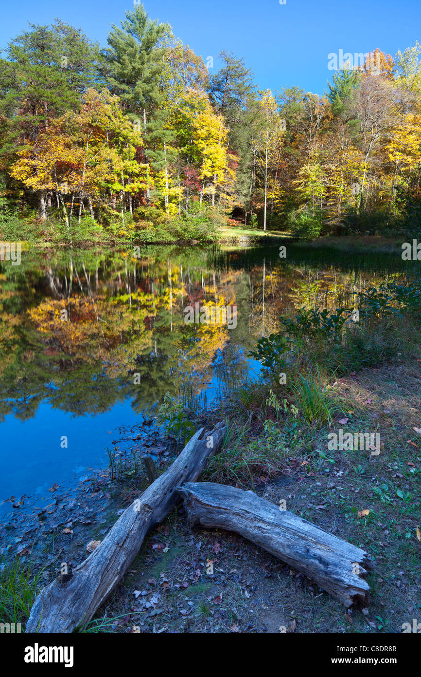 Dockery Lake ist ein 6 Hektar großen See am Gewässer Creek außerhalb Dahlonega, Georgia.  Es hat einen Tag-Bereich sowie 11 primitive Campingplätze nutzen.  Der See ist mit Regenbogenforellen bestückt. Stockfoto