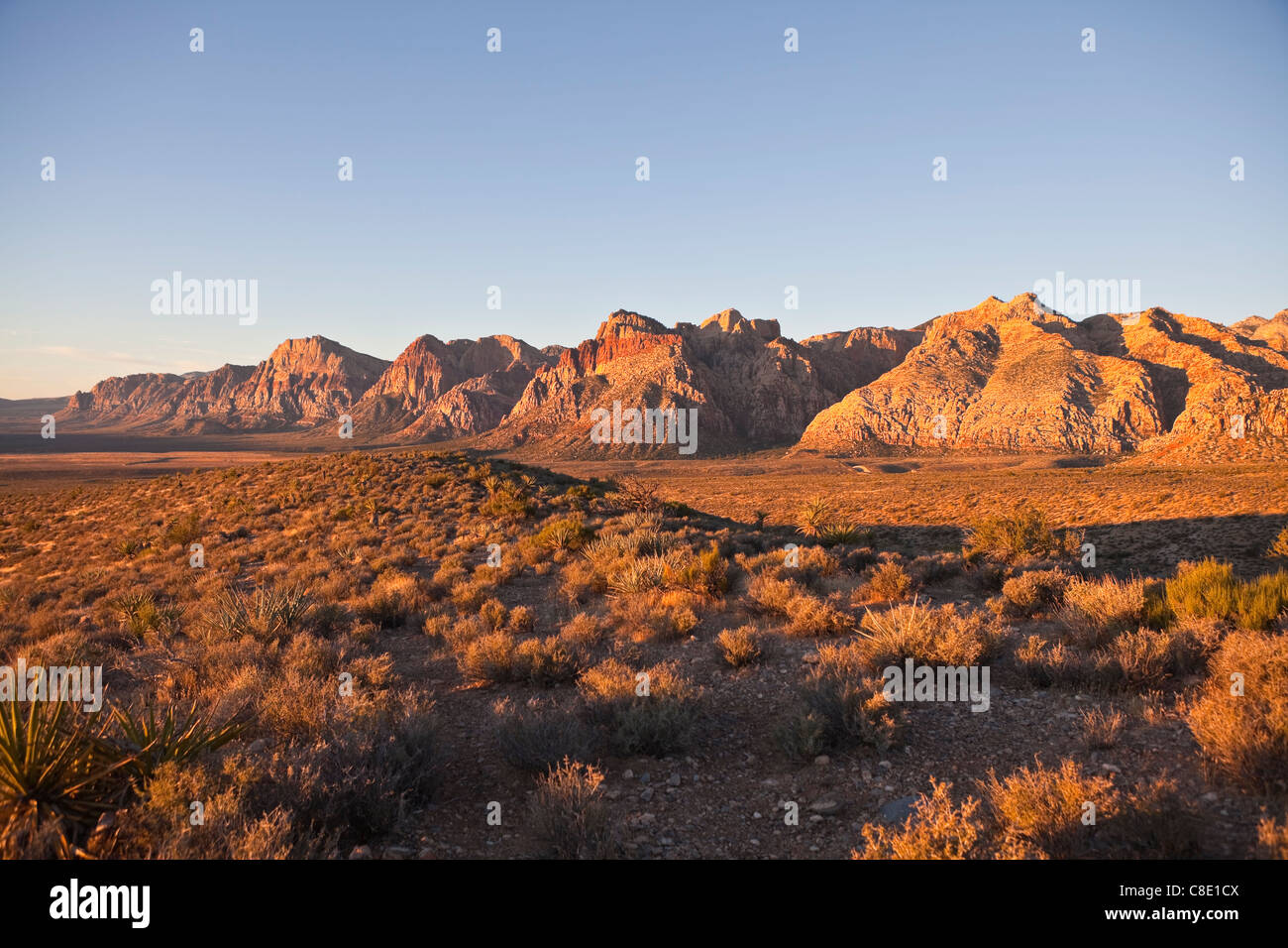 Ersten Sonnenstrahlen leicht warmer Sonnenaufgang in Nevada Red Rock National Conservation Area. Stockfoto