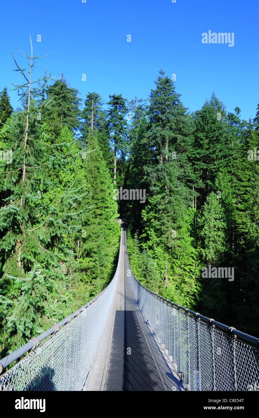 Capilano suspension bridge park forest Fotos und Bildmaterial in