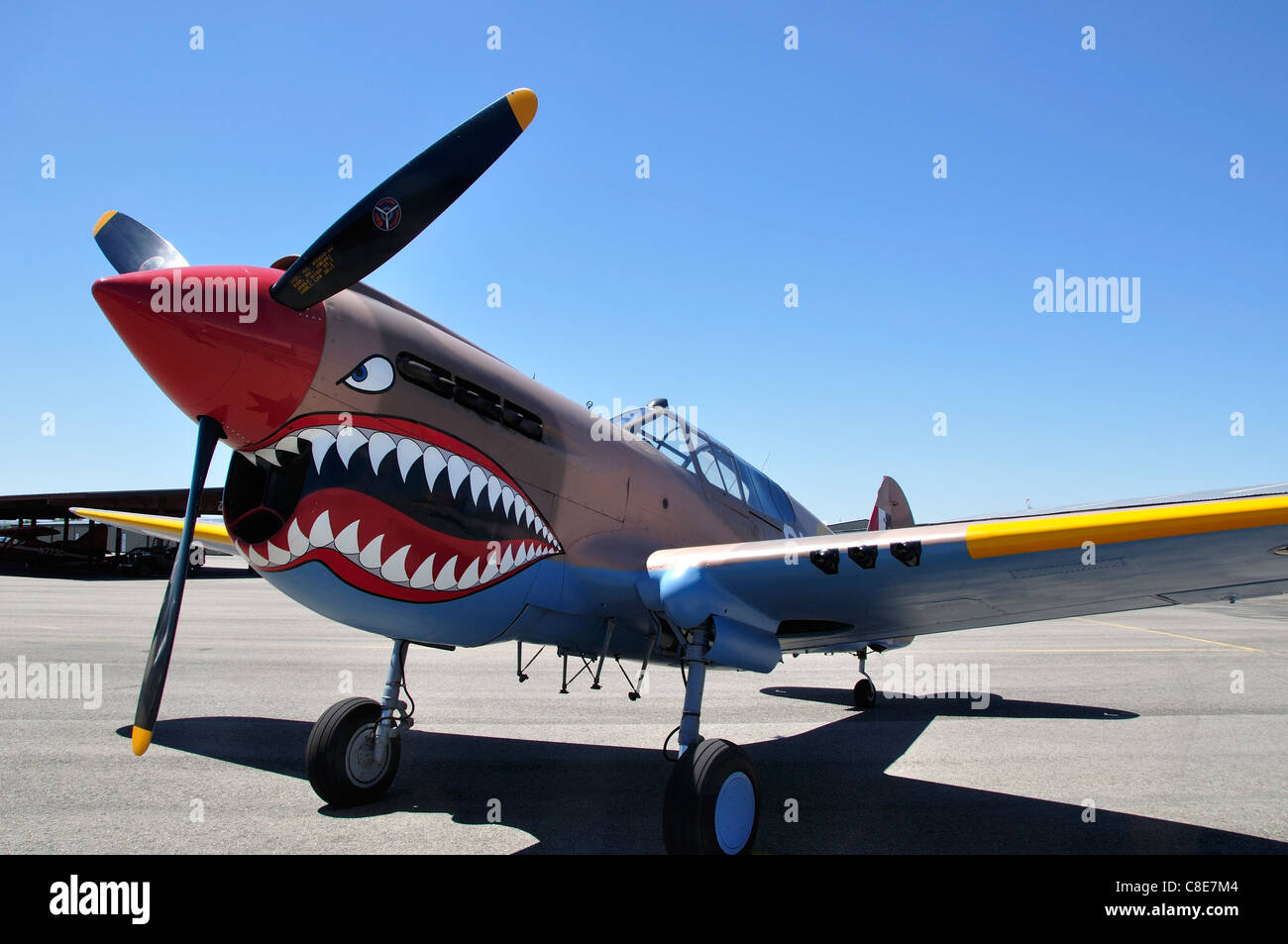 Curtiss P-40N Warhawk im Warhawk Aviation Museum in Nampa Municipal Flughafen Stockfoto