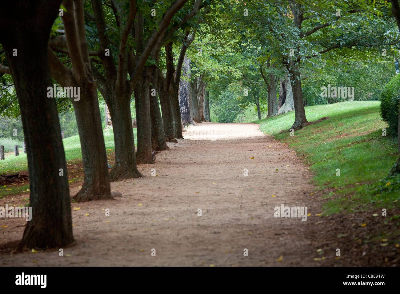 Im Garten des Hauses von Thomas Jefferson, Monticello, Virginia USA Stockfoto